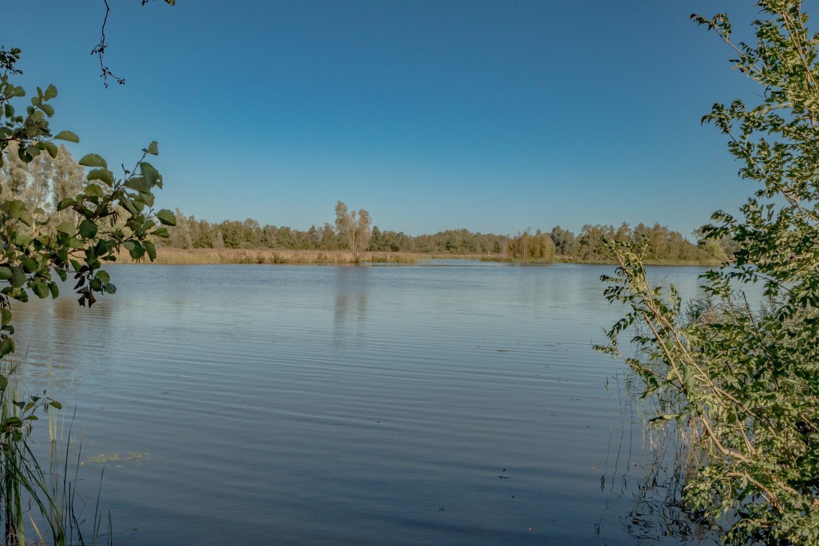 Molenweg 3, Giethoorn foto-6