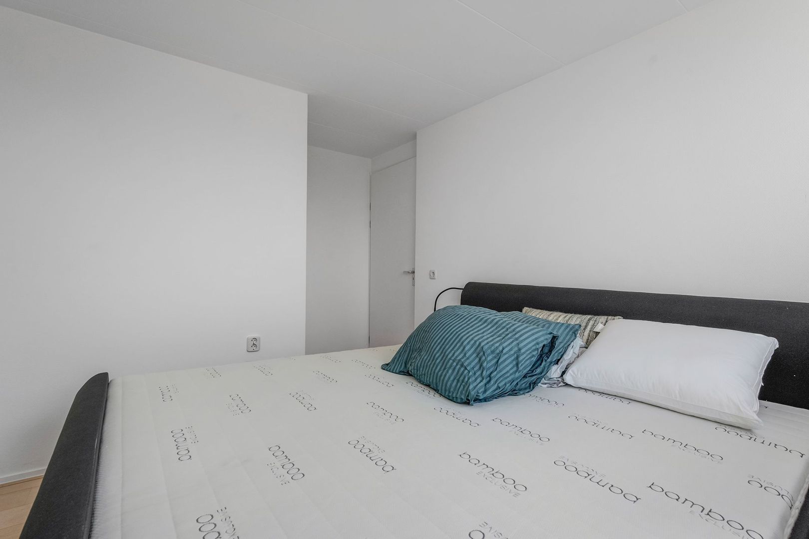 Veneweg 290 001, Wanneperveen foto-31