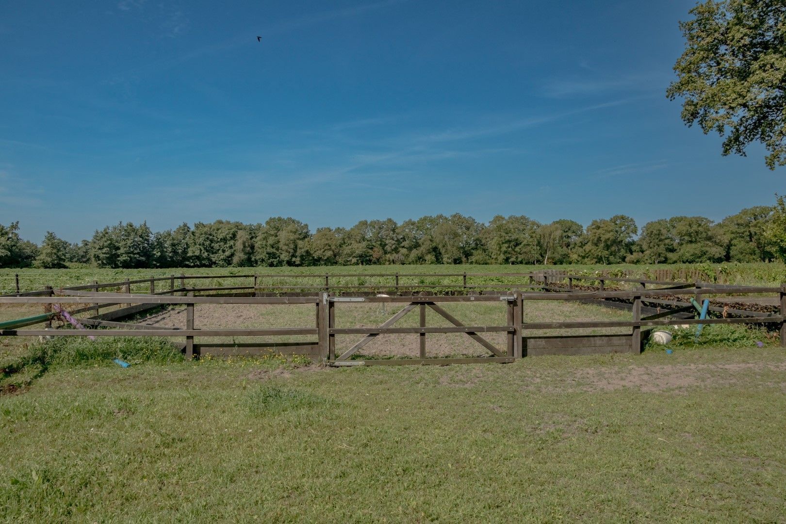 Busselterweg 16, Darp foto-48