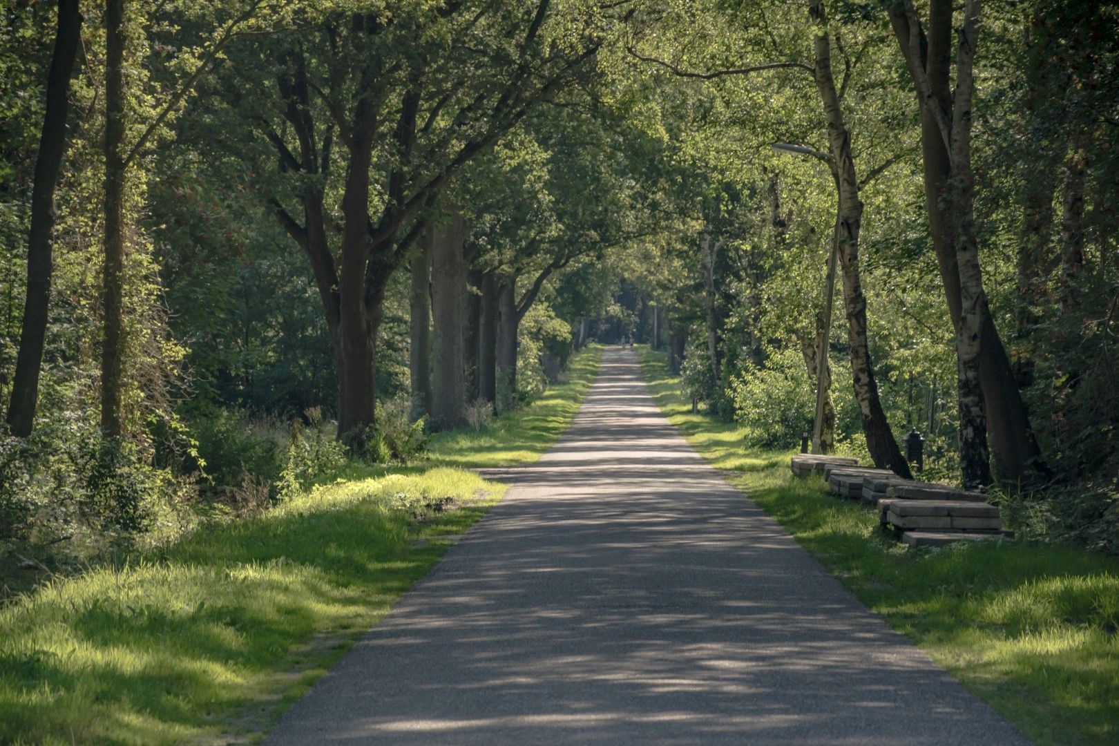Busselterweg 16, Darp foto-51
