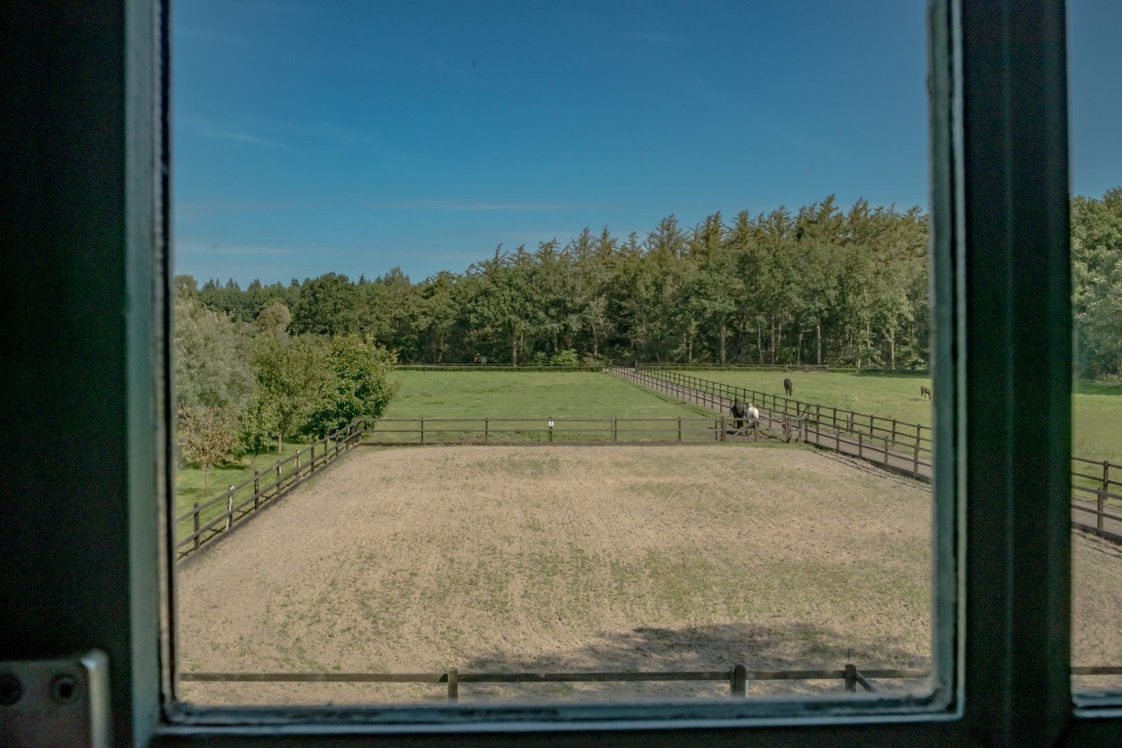 Busselterweg 16, Darp foto-41