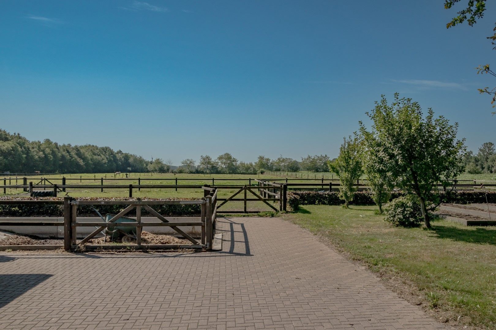 Busselterweg 16, Darp foto-45