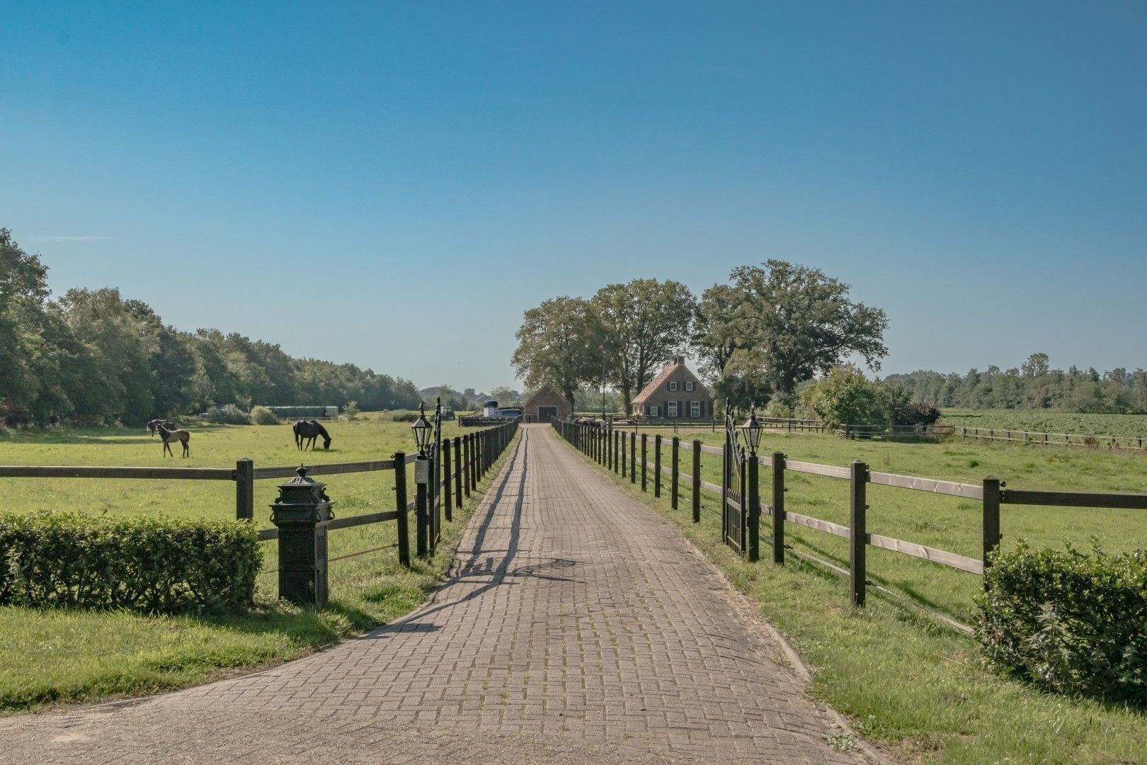 Busselterweg 16, Darp foto-50