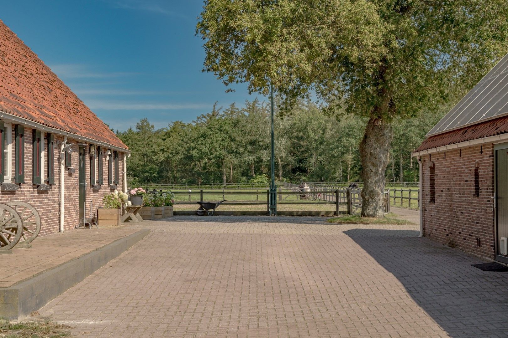 Busselterweg 16, Darp foto-13