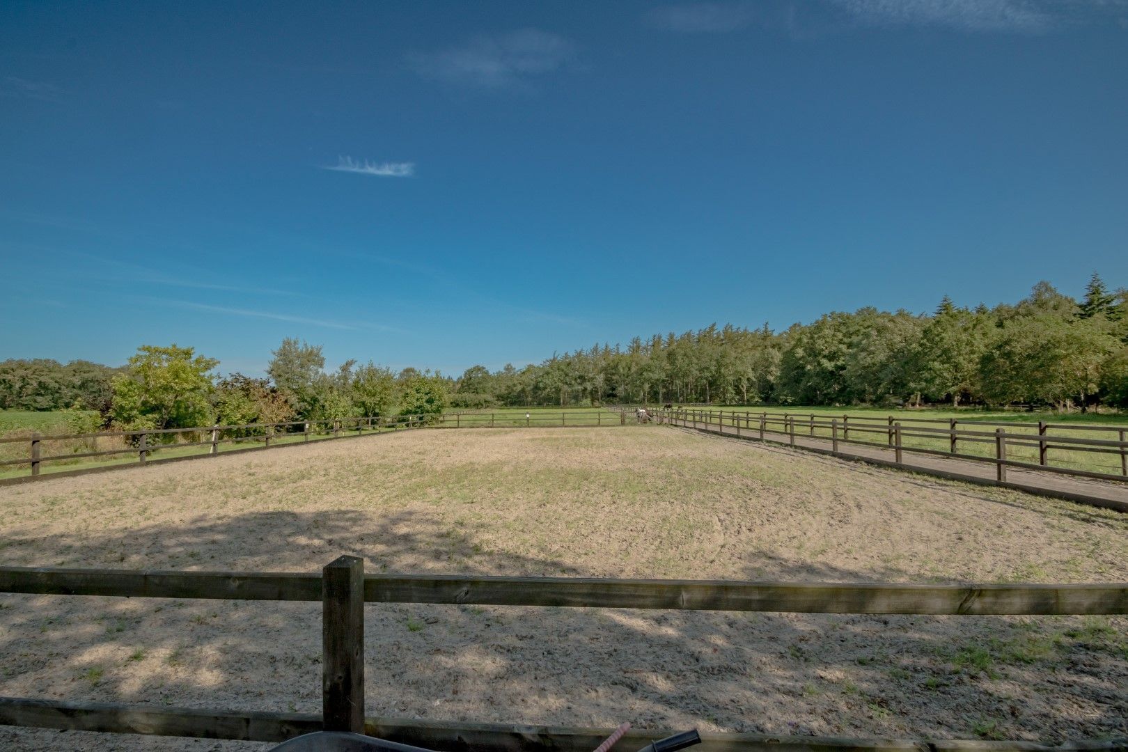 Busselterweg 16, Darp foto-19