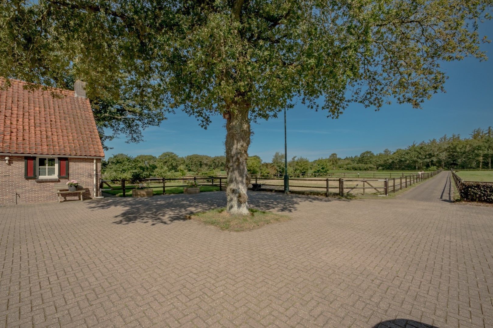 Busselterweg 16, Darp foto-17