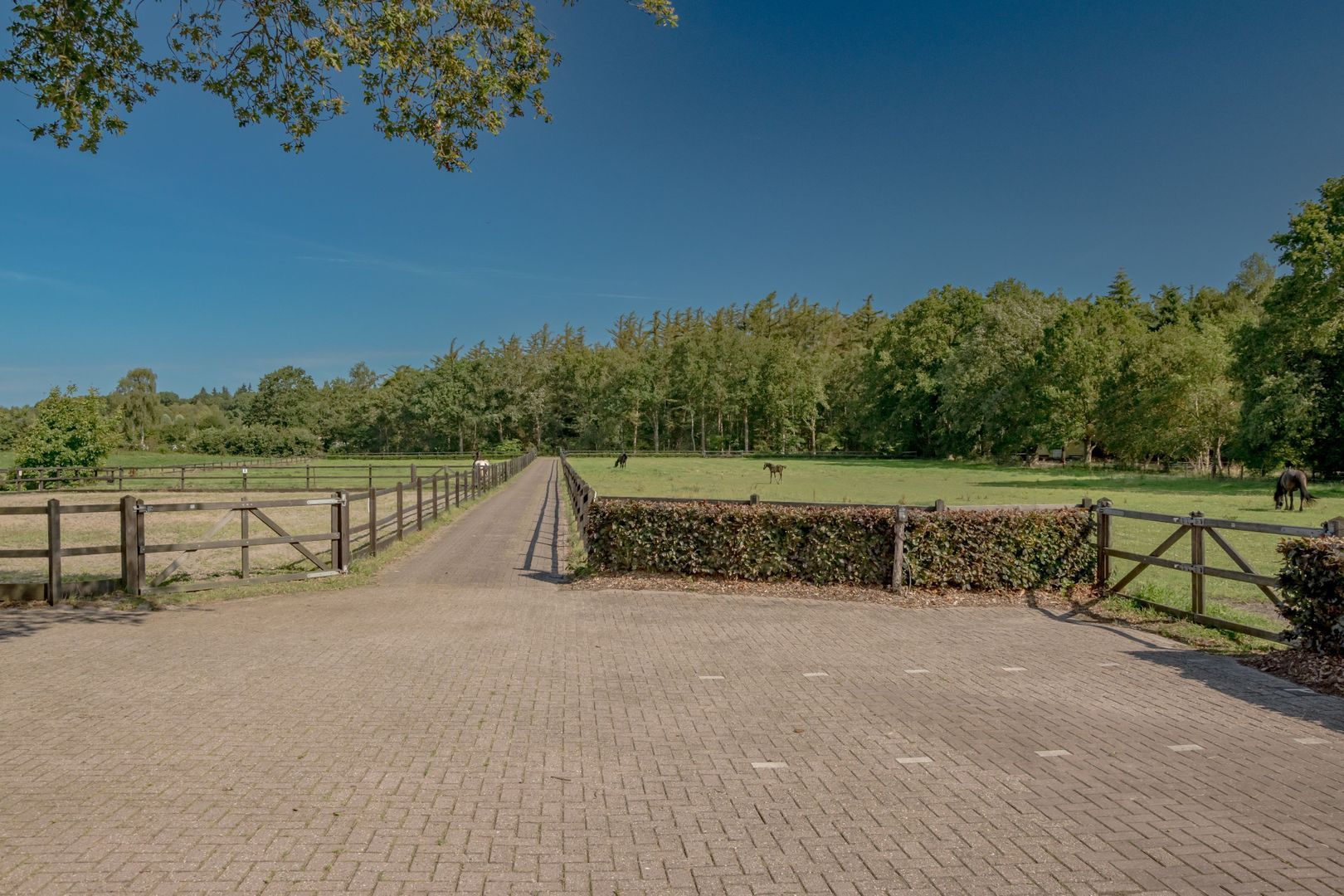 Busselterweg 16, Darp foto-2