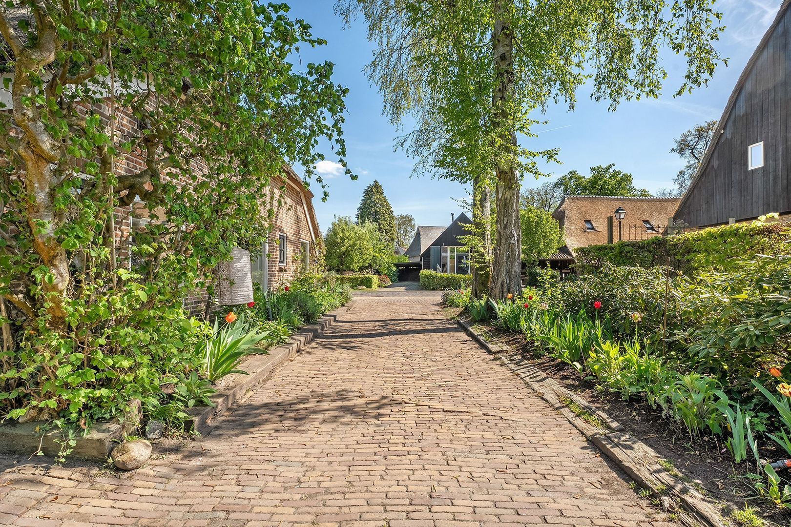 De Weijert 2 a, Dwingeloo foto-62