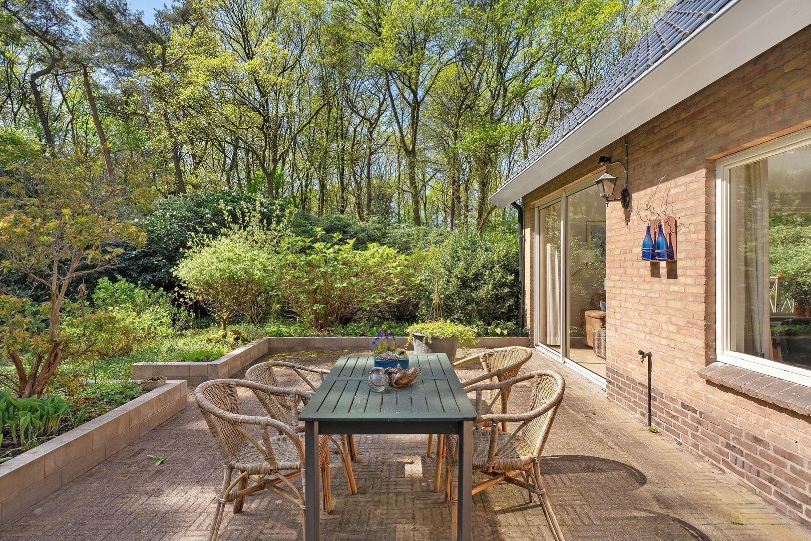 Bosrand 8, Dwingeloo foto-57