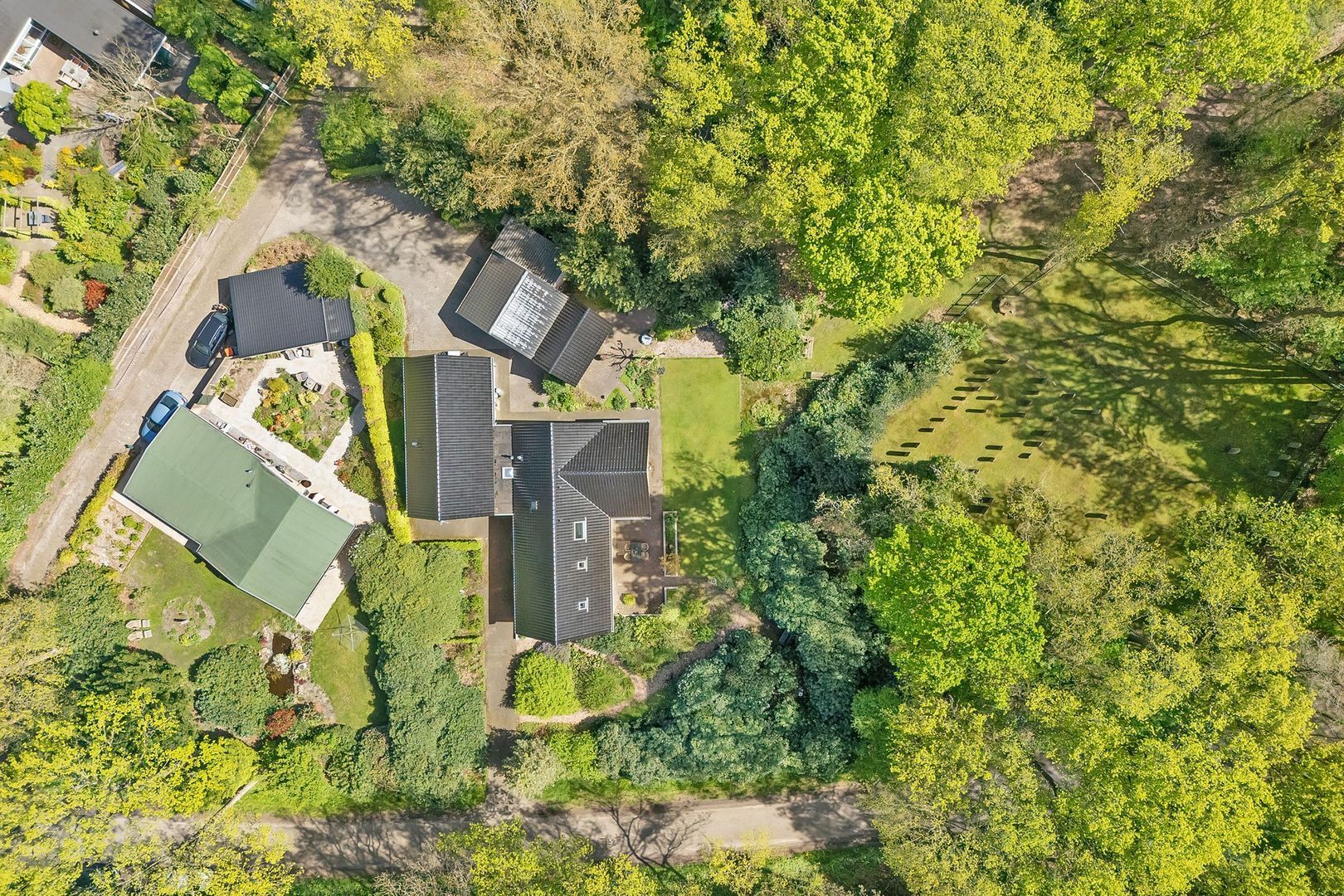 Bosrand 8, Dwingeloo foto-64