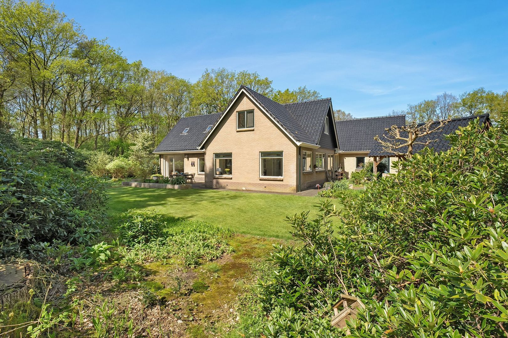 Bosrand 8, Dwingeloo foto-56