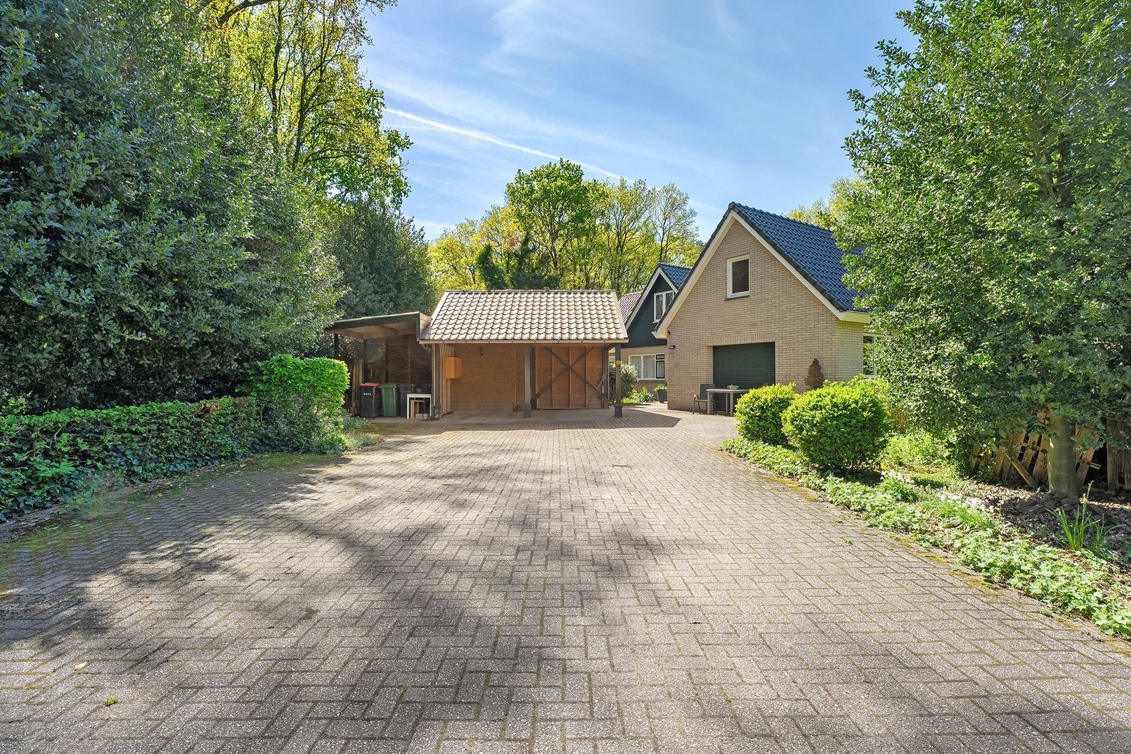 Bosrand 8, Dwingeloo foto-62