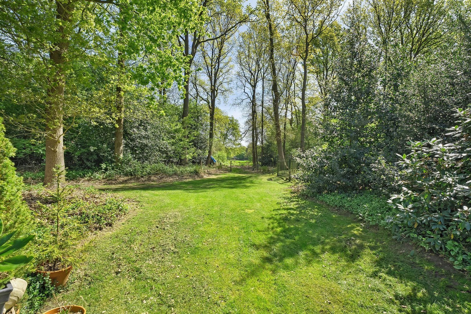 Bosrand 8, Dwingeloo foto-53