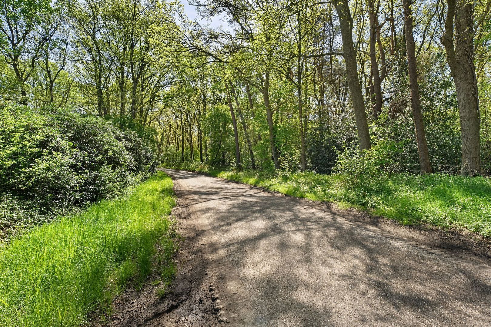 Bosrand 8, Dwingeloo foto-58