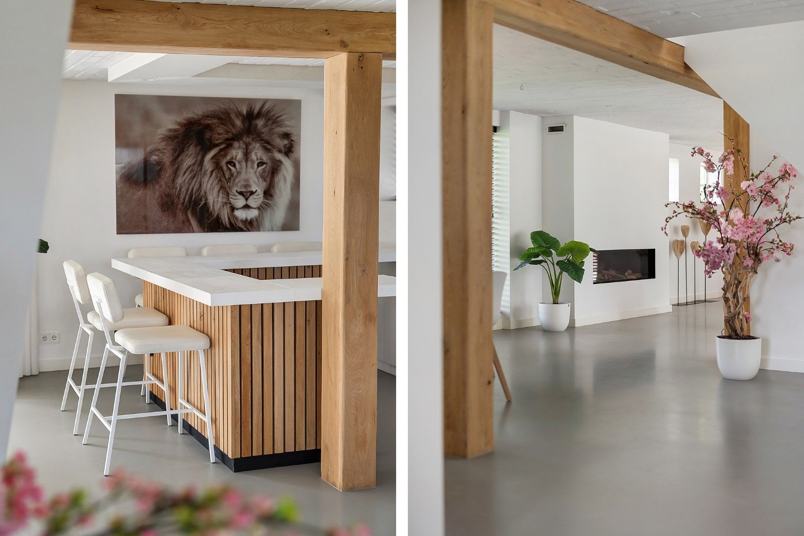 Kikkerij 1, Giethoorn foto-17