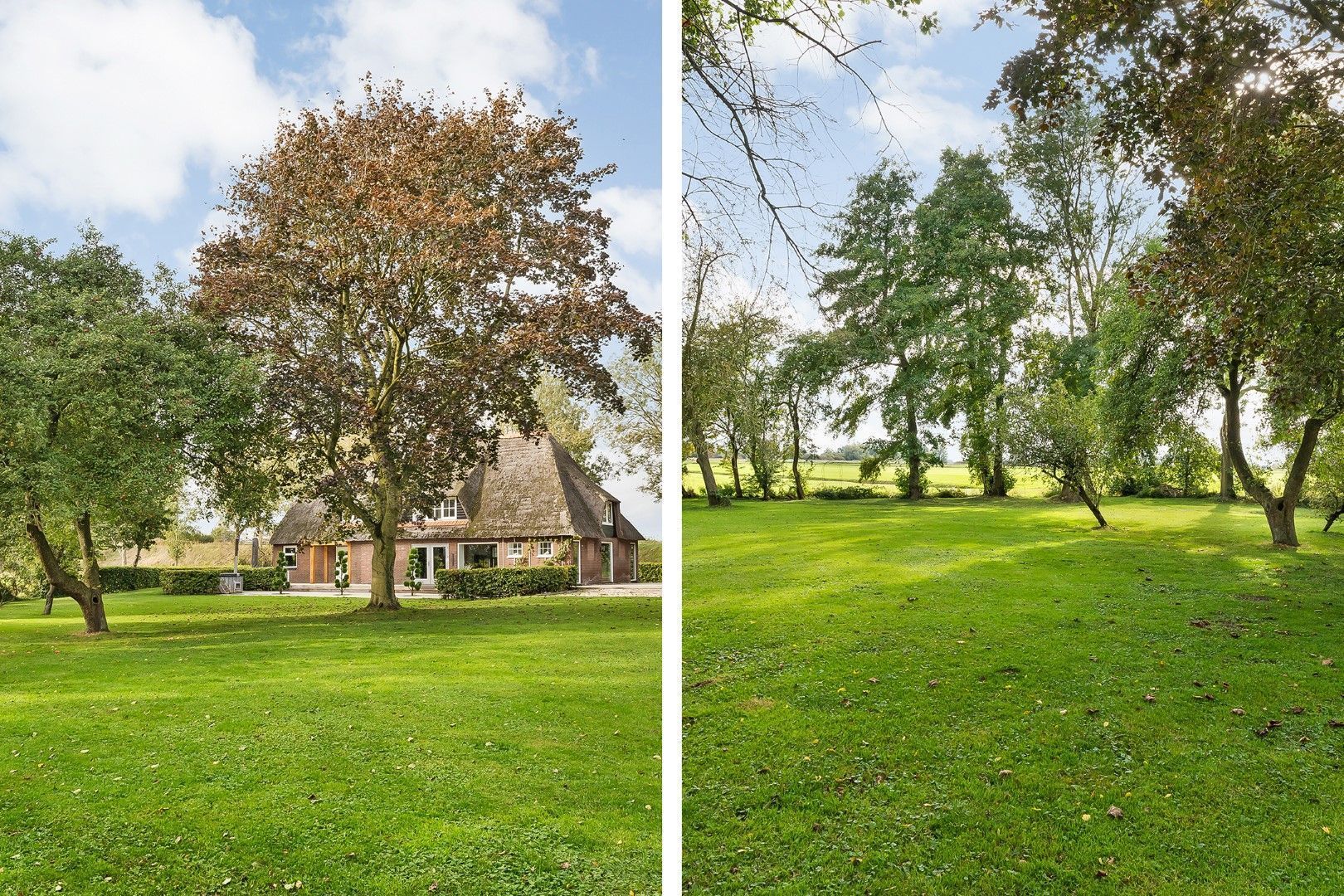 Kikkerij 1, Giethoorn foto-64