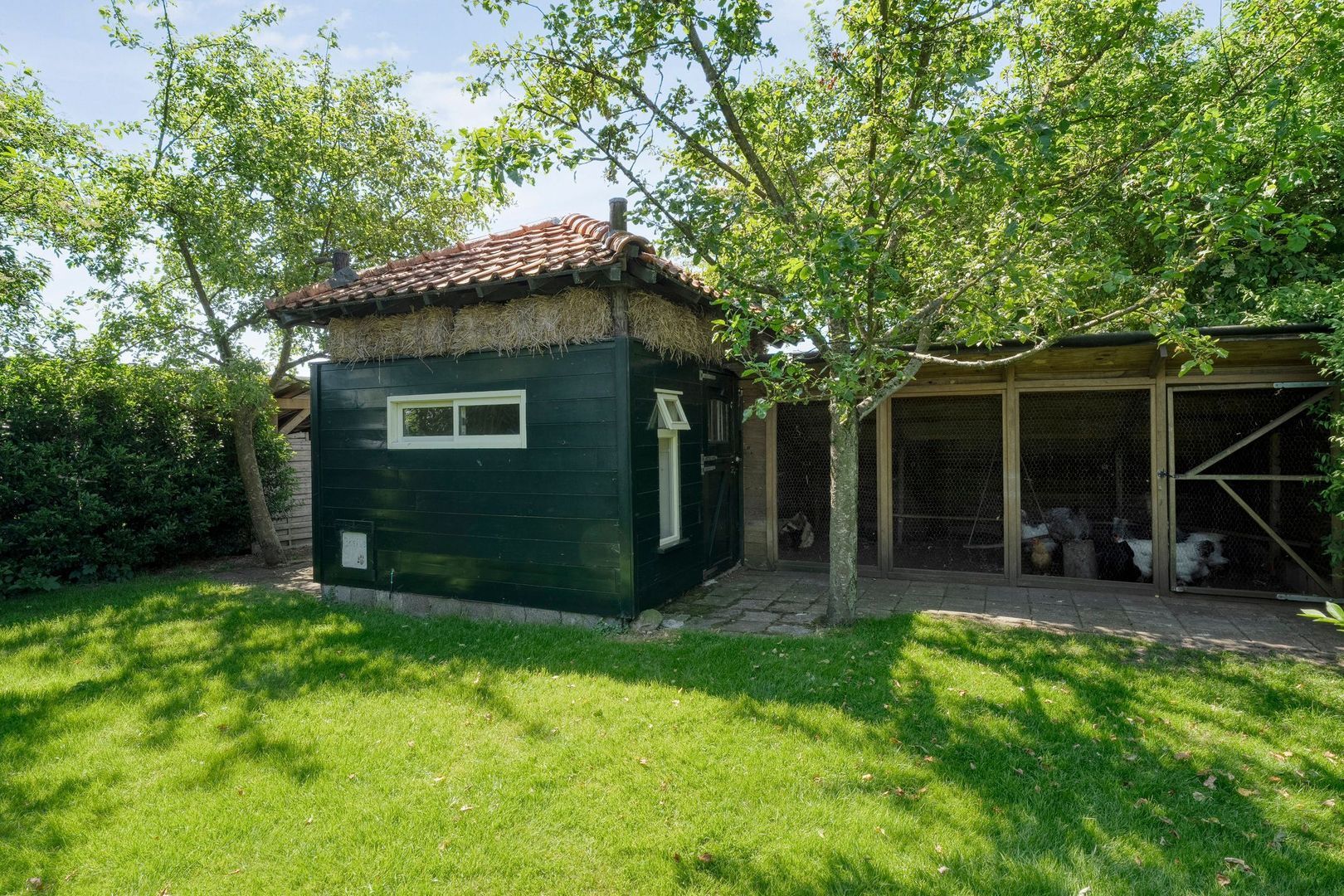 Nijeveense Bovenboer 20, Nijeveen foto-62