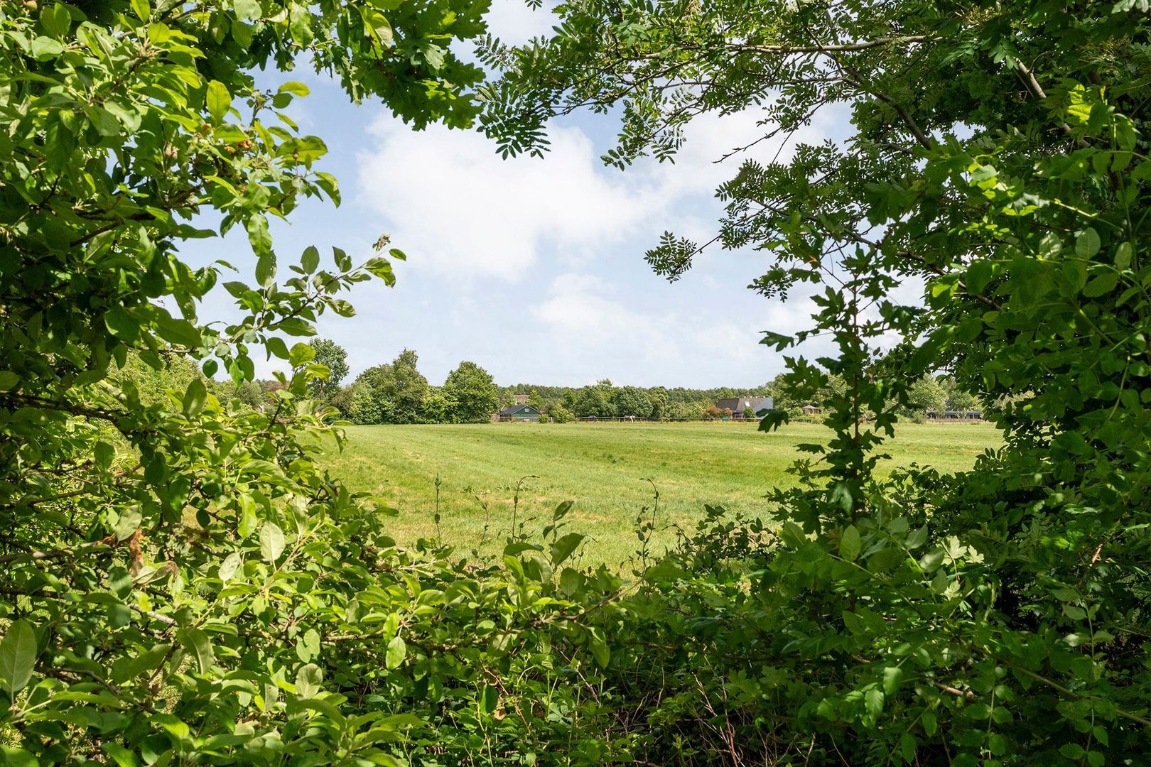 Ir. C.A. Kloosterhuisstraat 49 c, Willemsoord foto-68