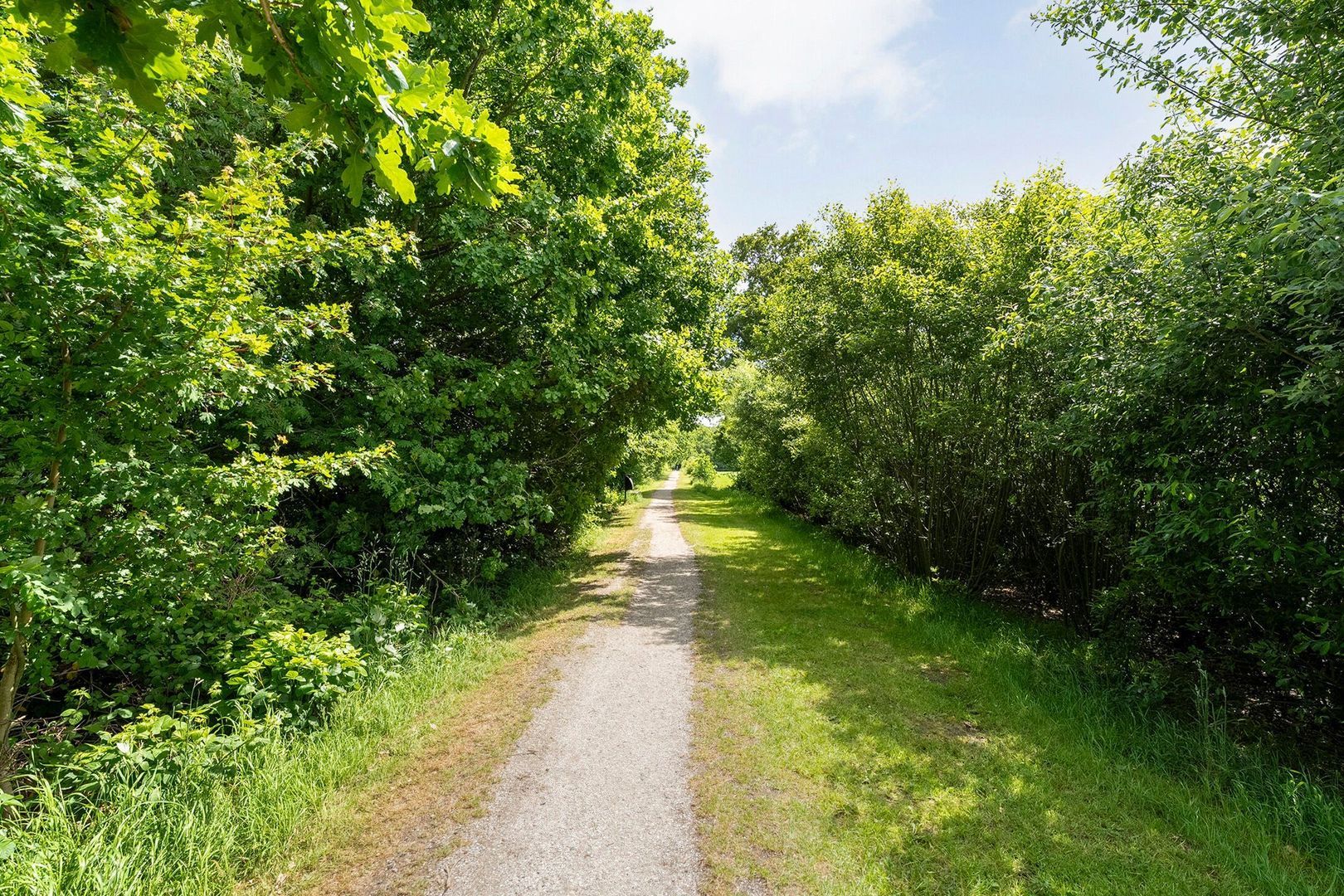 Ir. C.A. Kloosterhuisstraat 49 c, Willemsoord foto-69