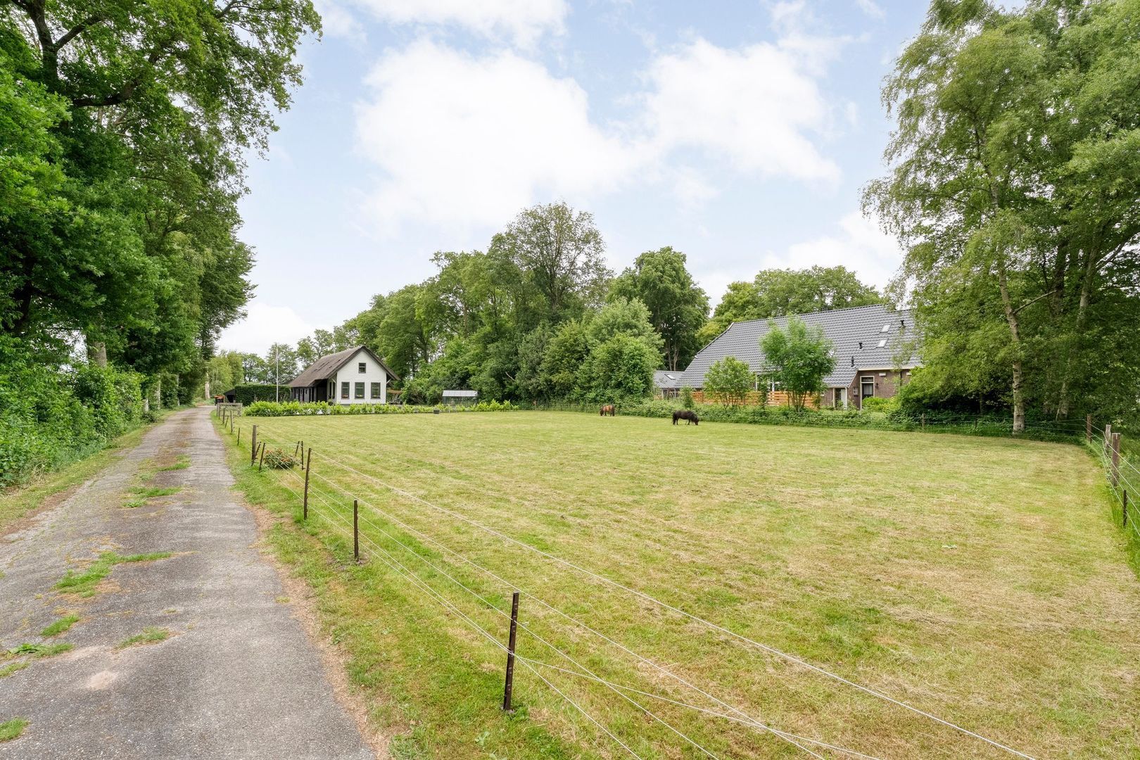 Midden 119, Wapserveen foto-11