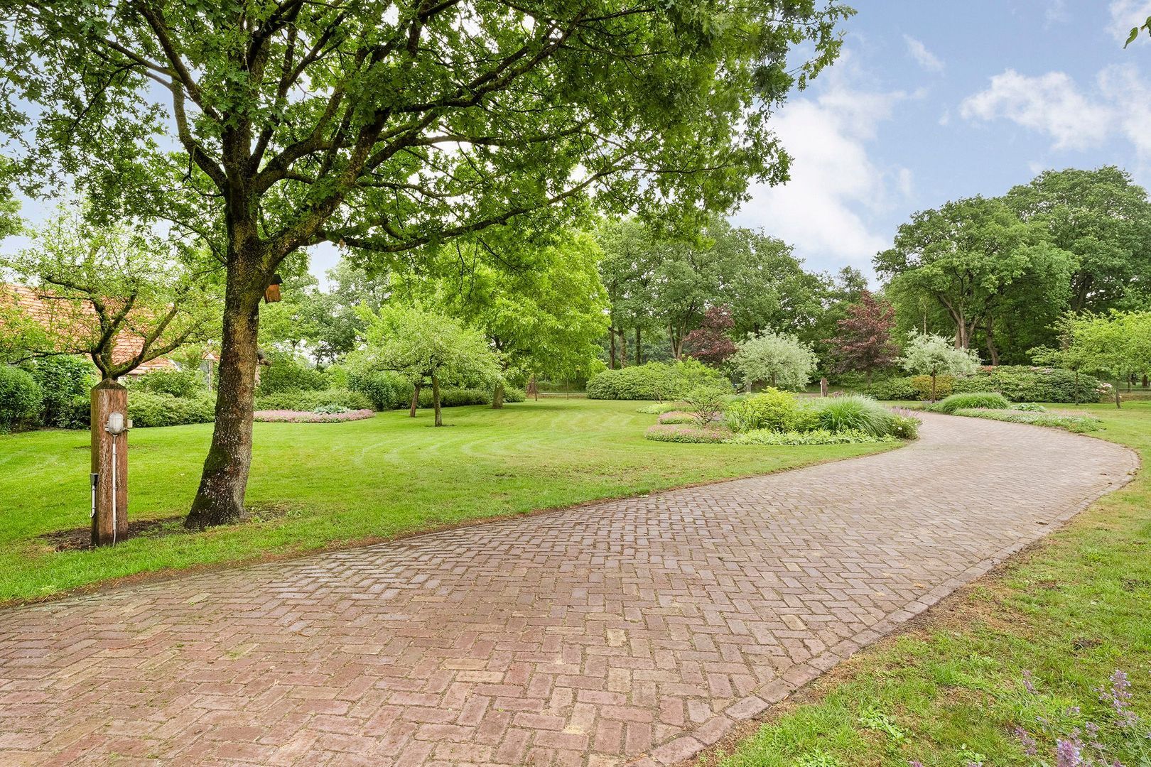 Wittelterweg 6, Diever foto-12