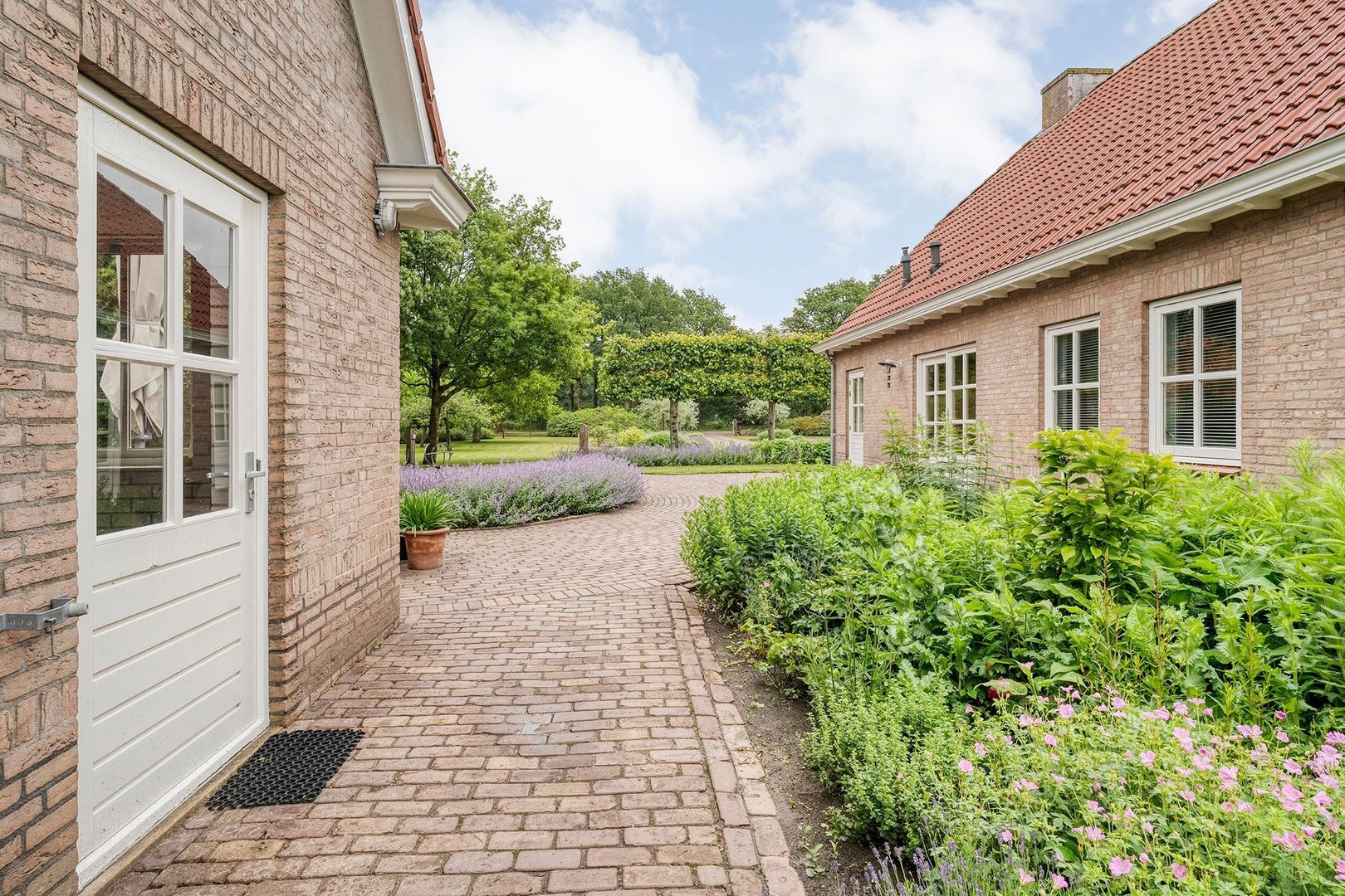 Wittelterweg 6, Diever foto-49