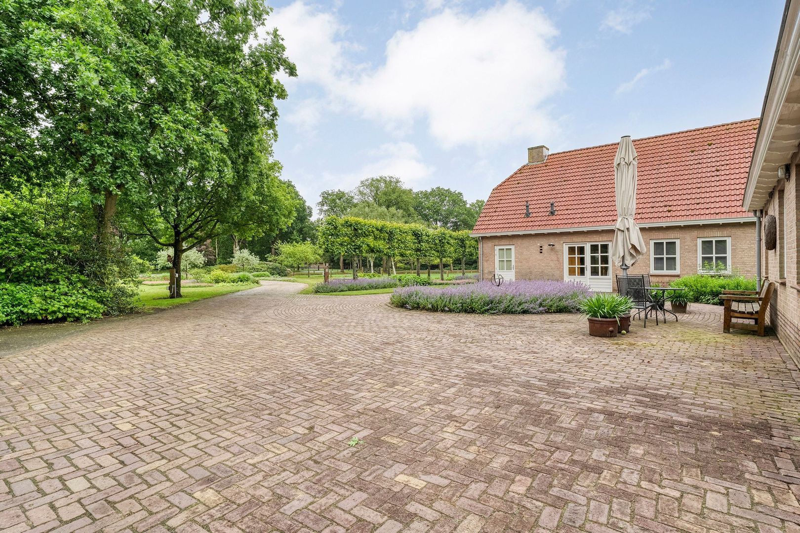 Wittelterweg 6, Diever foto-15