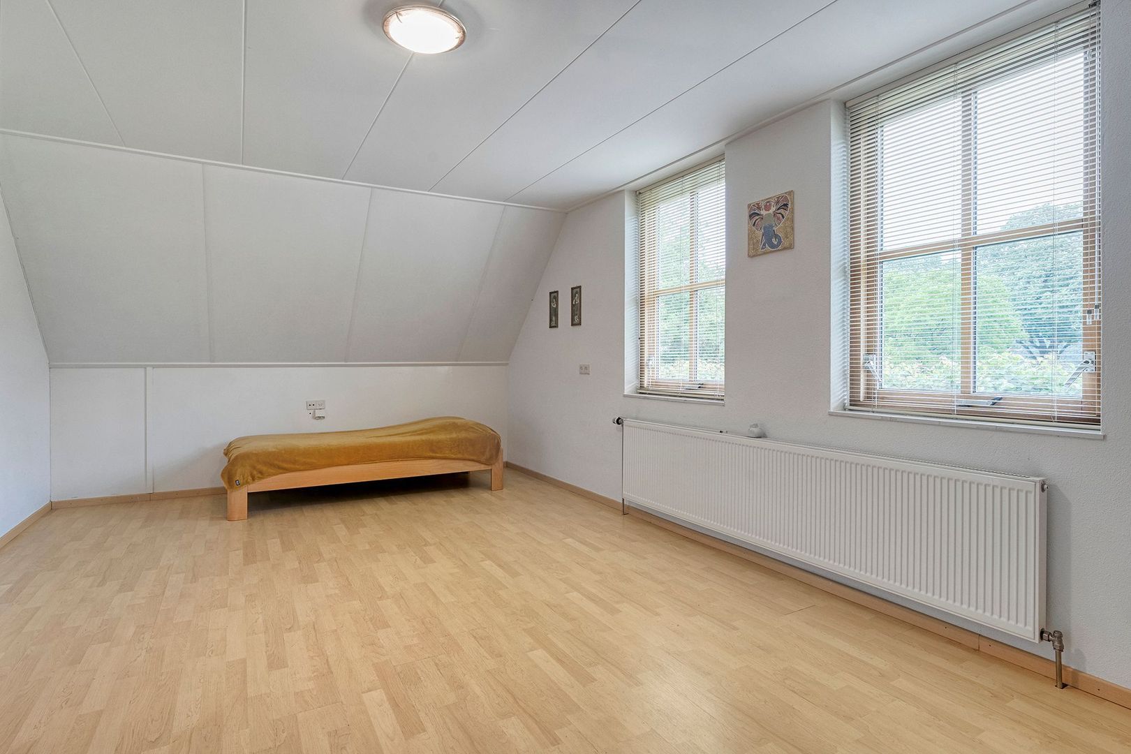 Wittelterweg 6, Diever foto-41