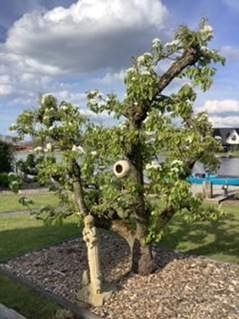 Otterpad 17, Scheerwolde foto-48