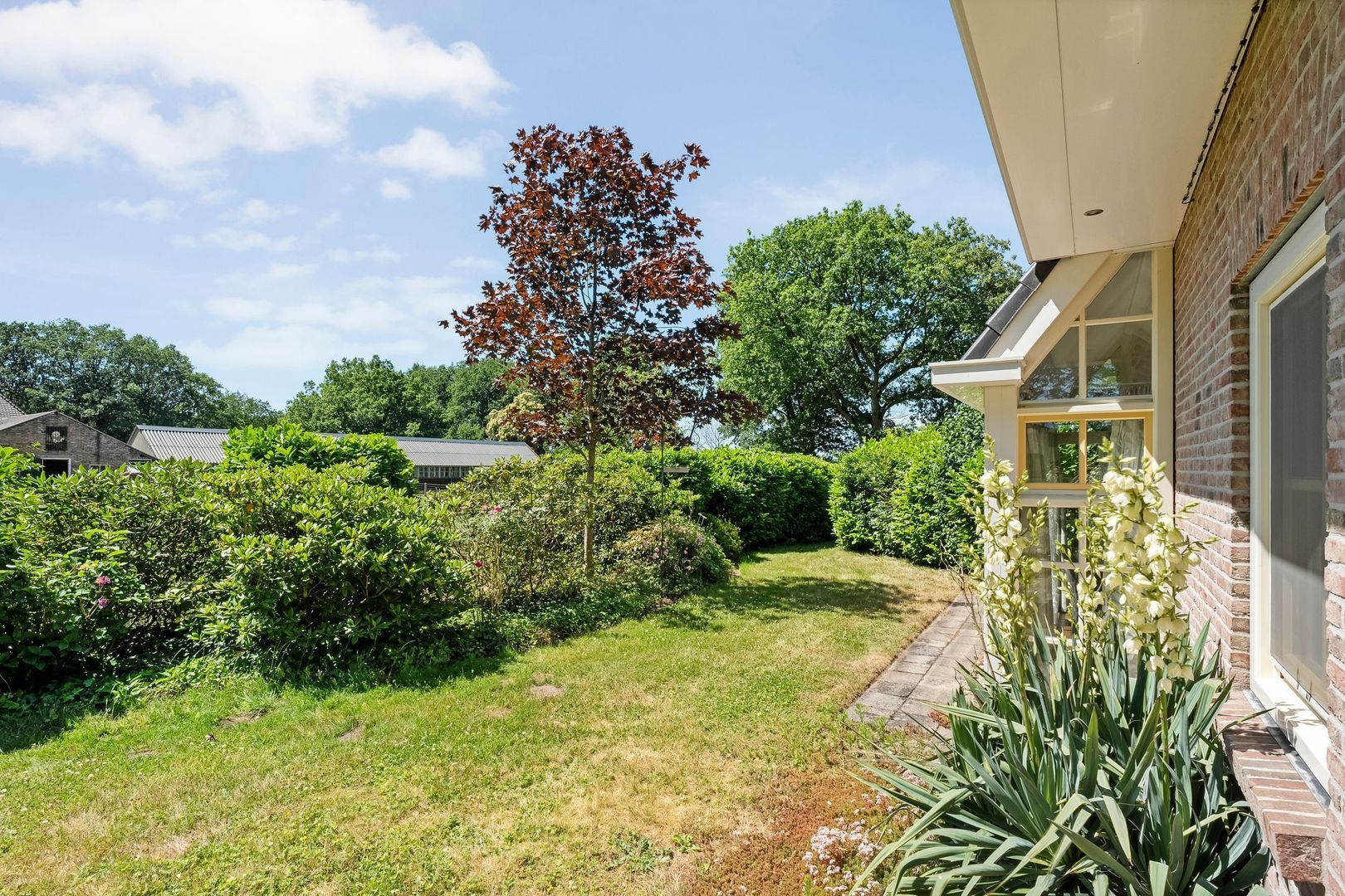 Anholt 3, Ruinen foto-46