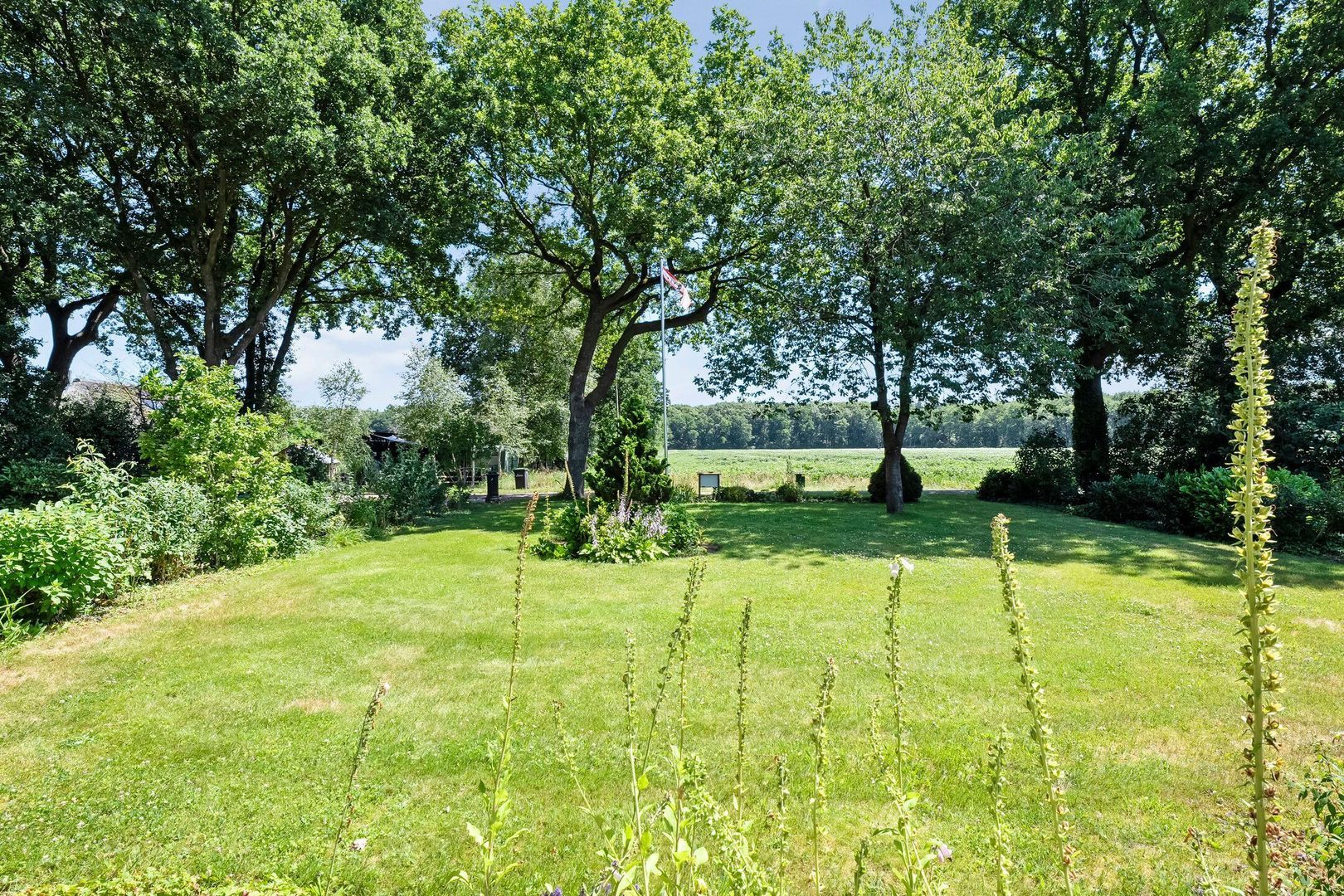 Anholt 3, Ruinen foto-66