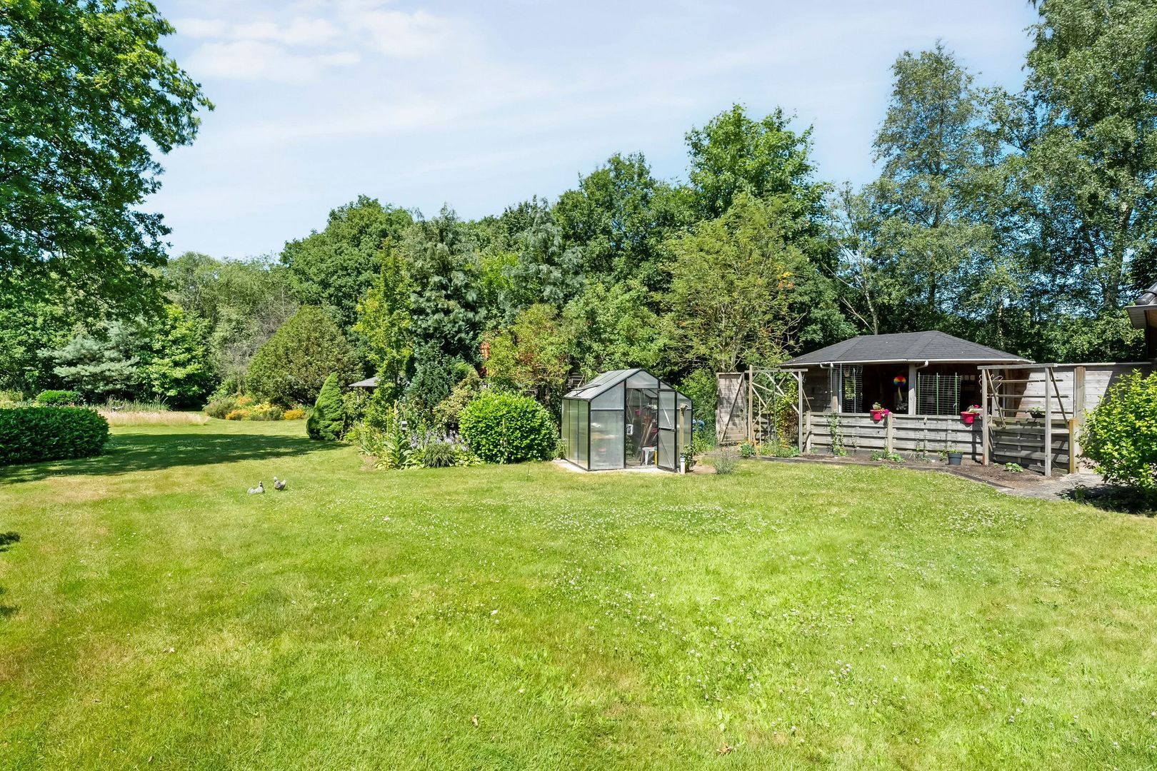 Anholt 3, Ruinen foto-52