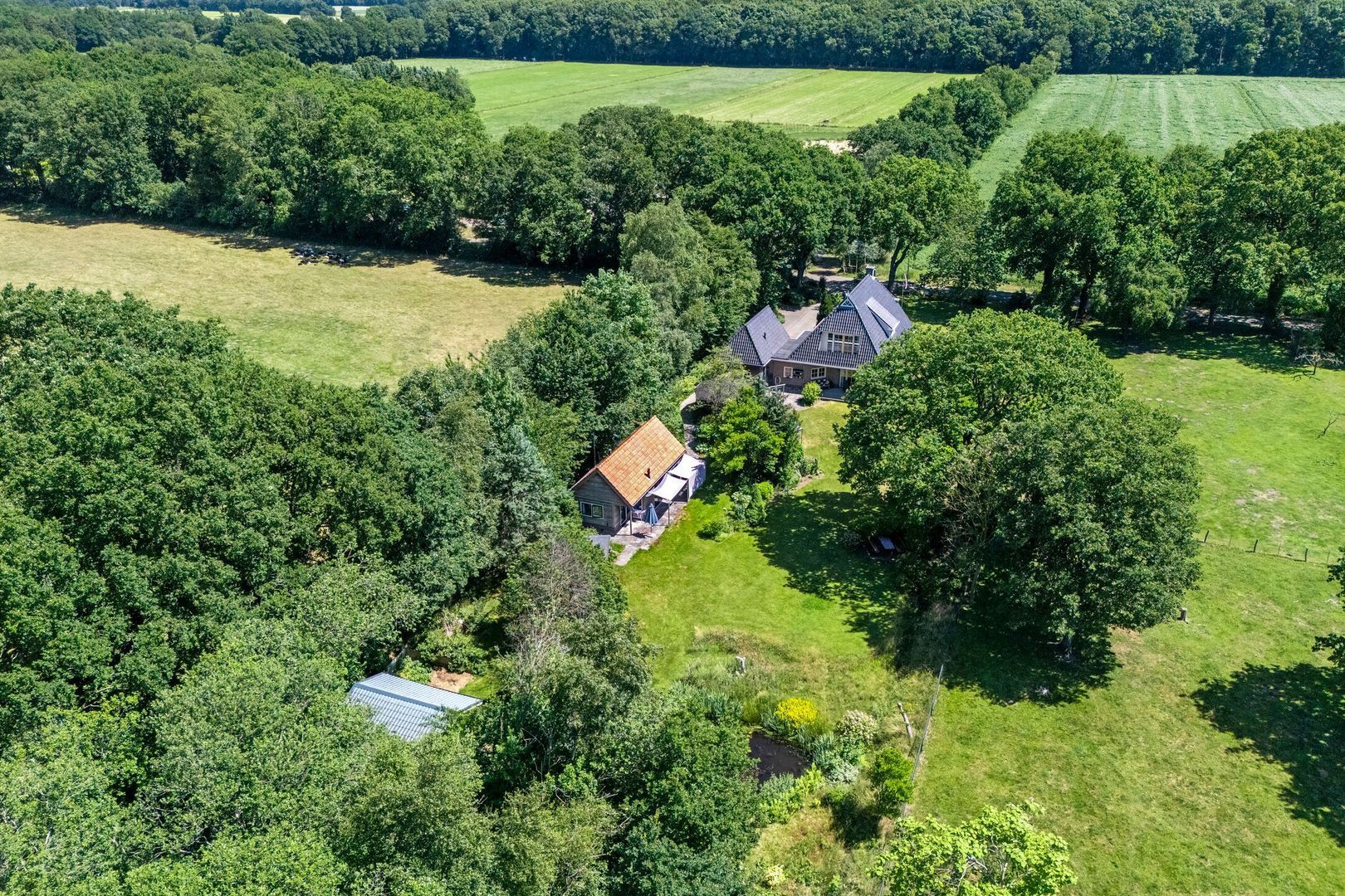 Anholt 3, Ruinen foto-8