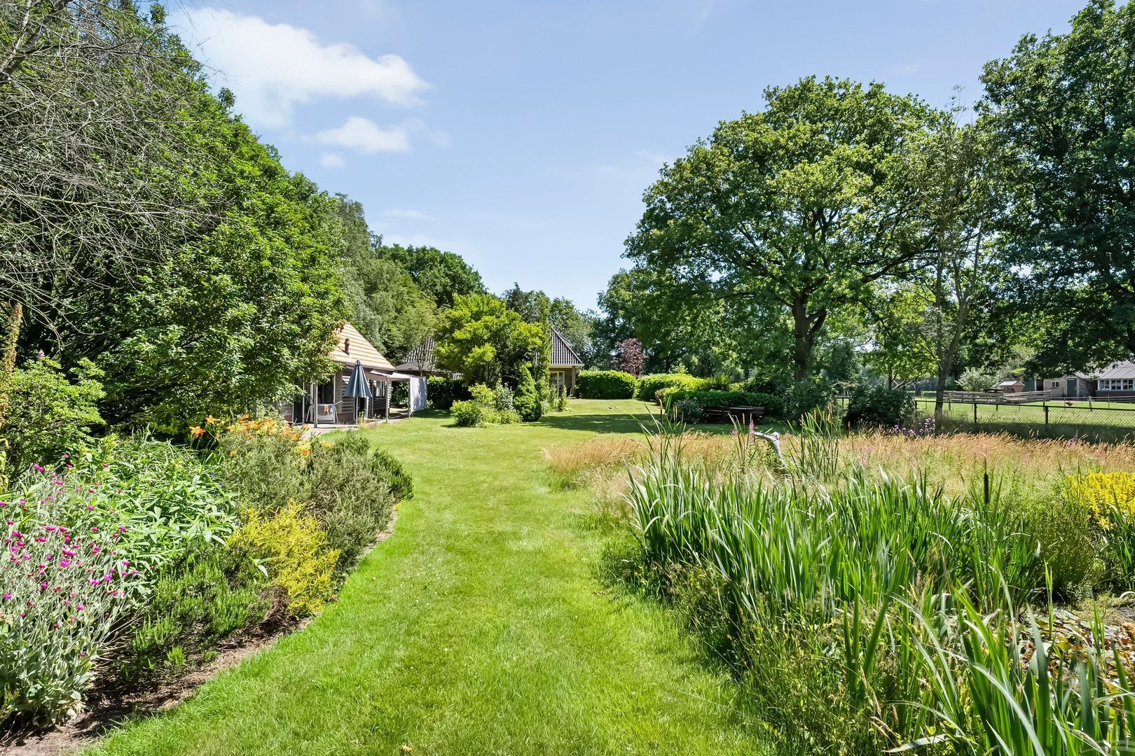 Anholt 3, Ruinen foto-51