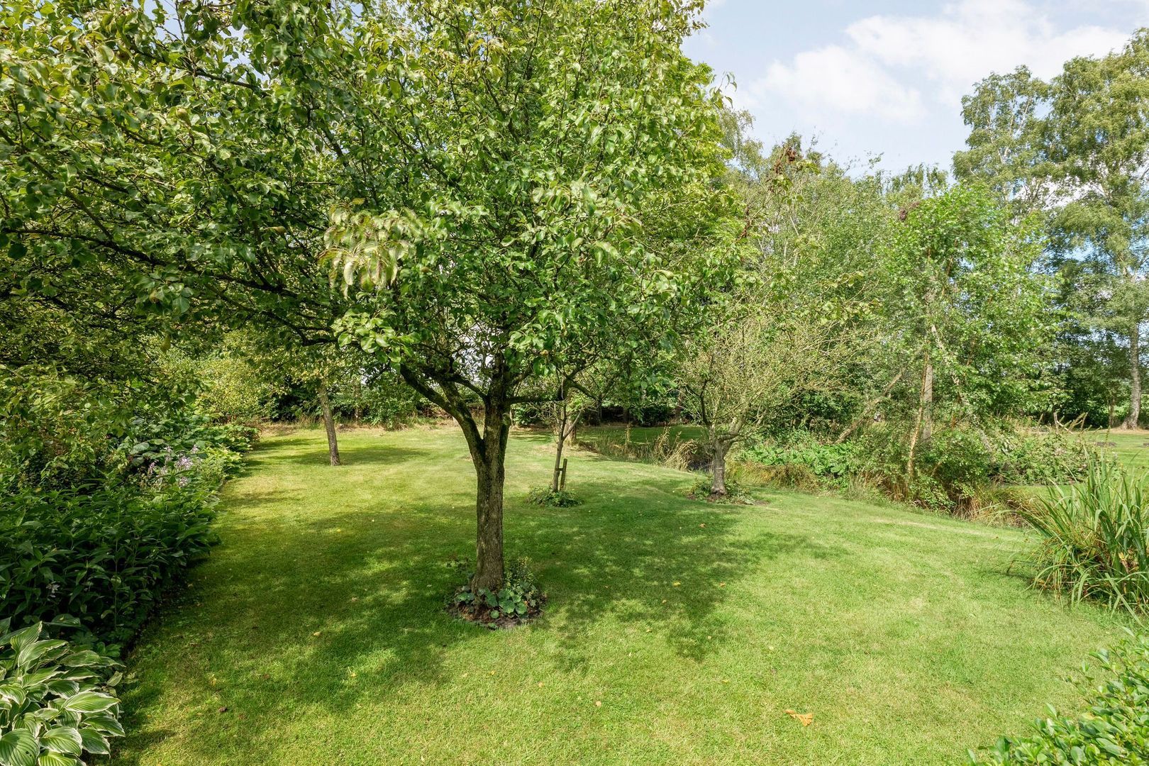 Stapelerveldweg 6, De Wijk foto-53