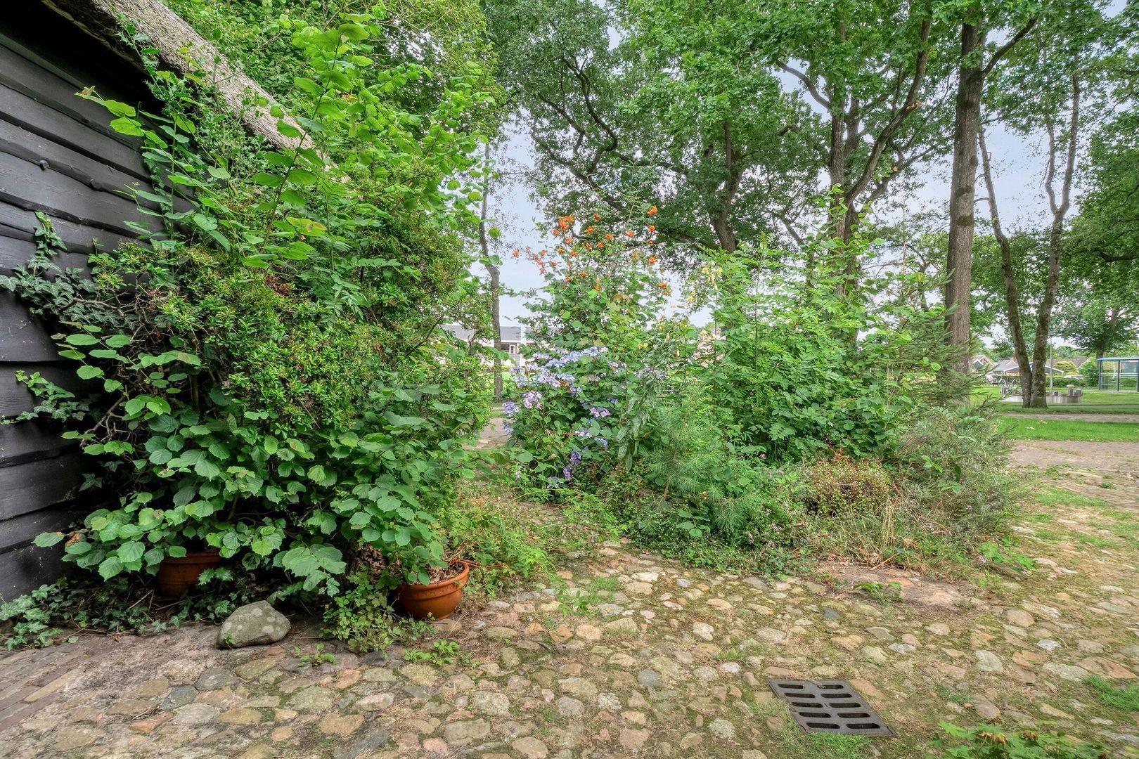 De Weijert 8, Dwingeloo foto-60