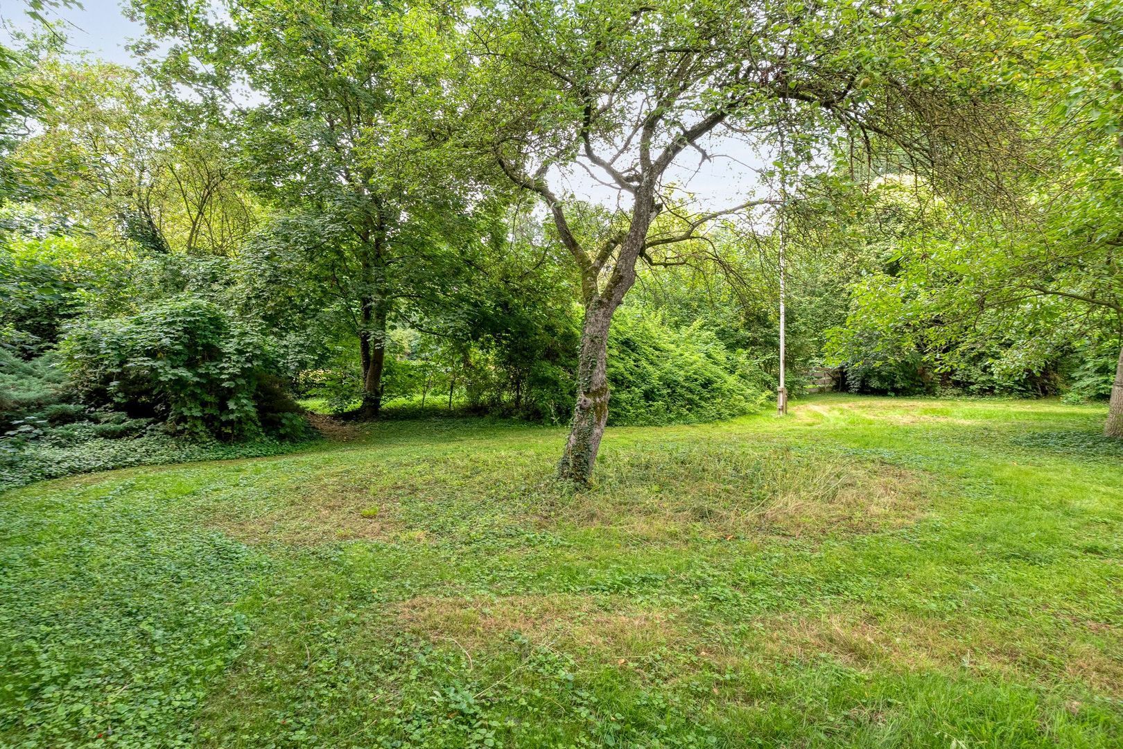 De Weijert 8, Dwingeloo foto-68