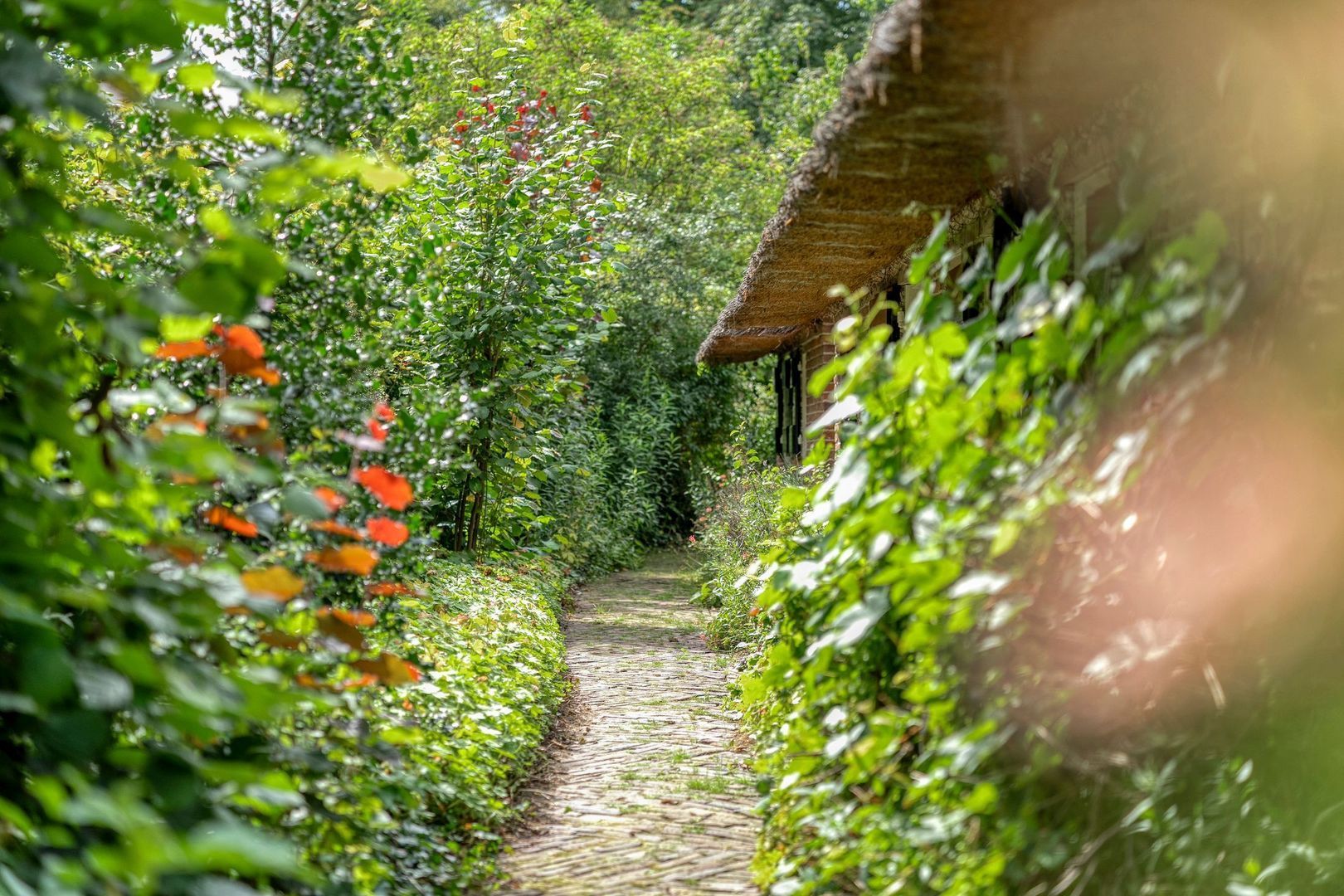 De Weijert 8, Dwingeloo foto-56