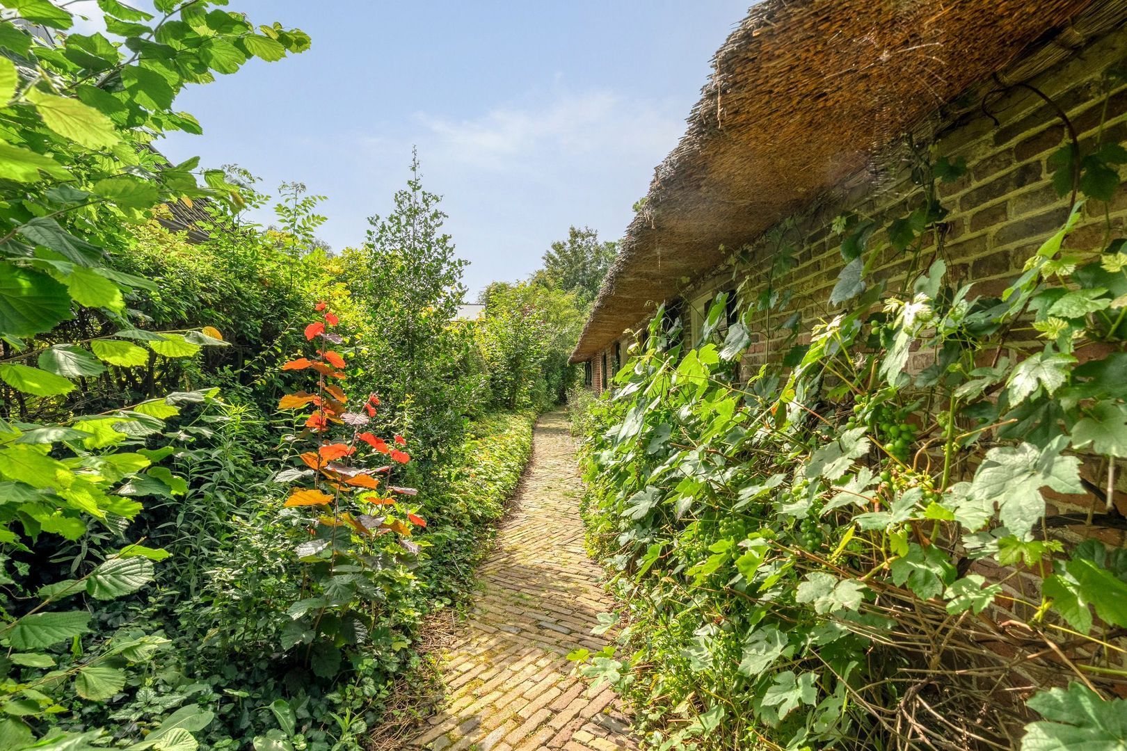 De Weijert 8, Dwingeloo foto-45