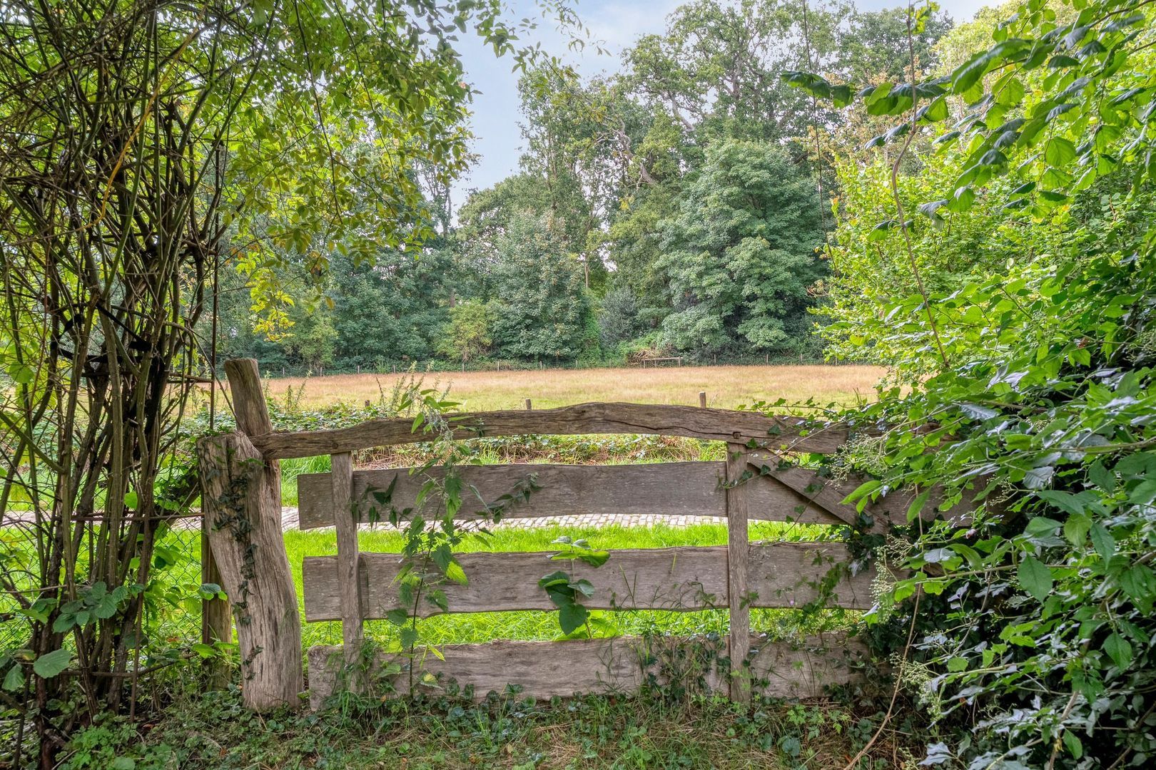 De Weijert 8, Dwingeloo foto-66