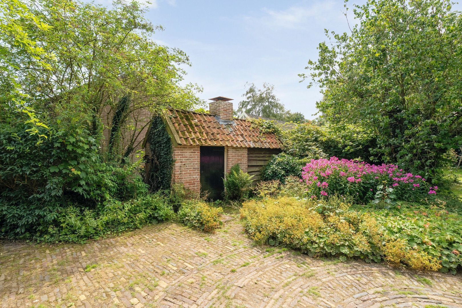 De Weijert 8, Dwingeloo foto-70