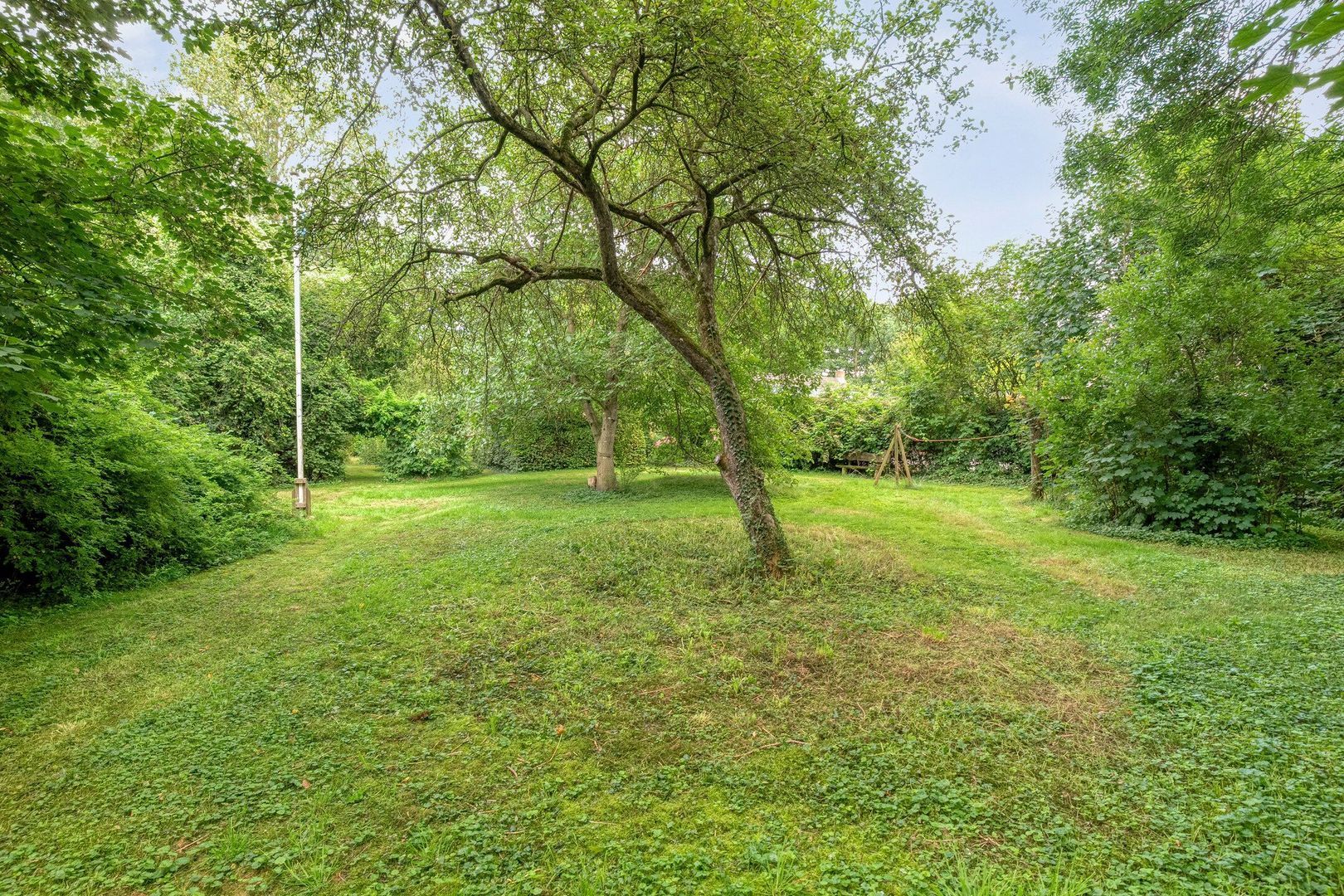 De Weijert 8, Dwingeloo foto-67