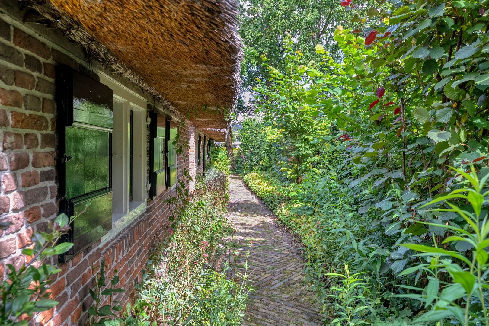 De Weijert 8, Dwingeloo foto-7