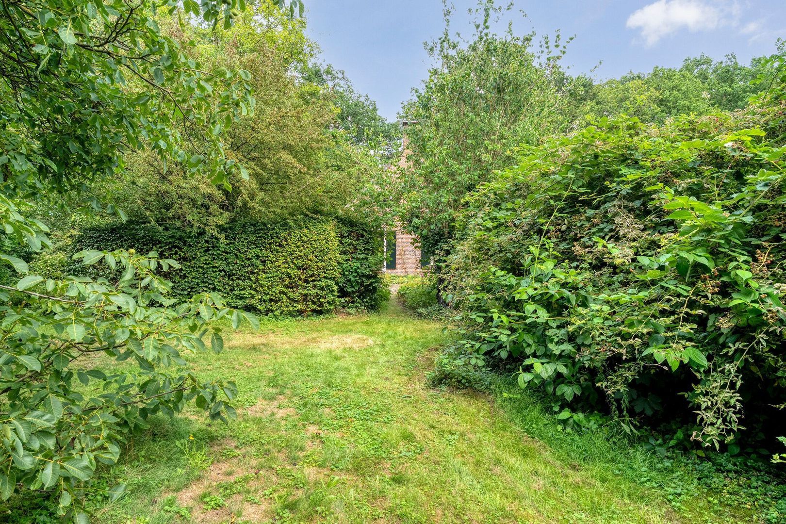 De Weijert 8, Dwingeloo foto-69