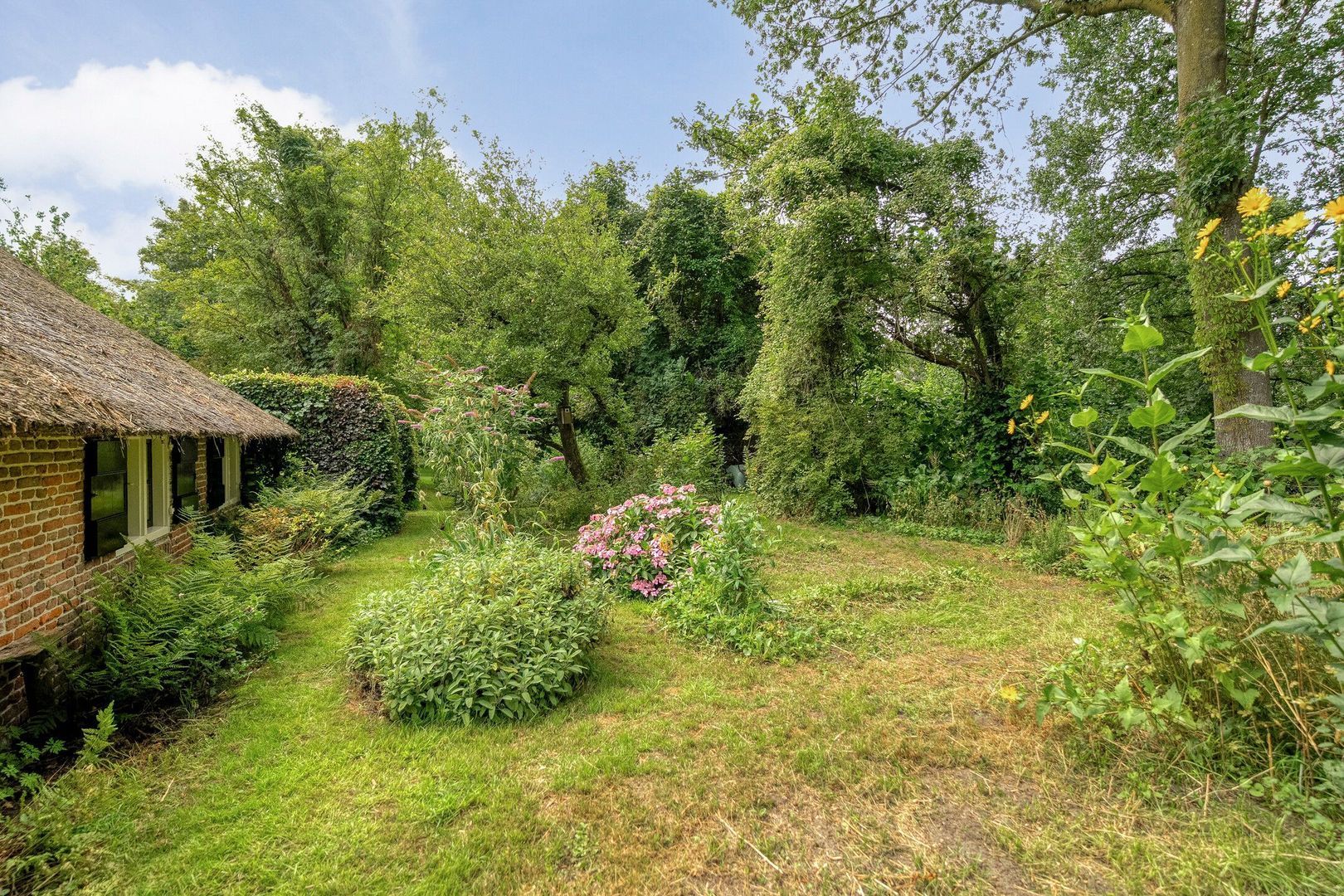 De Weijert 8, Dwingeloo foto-49