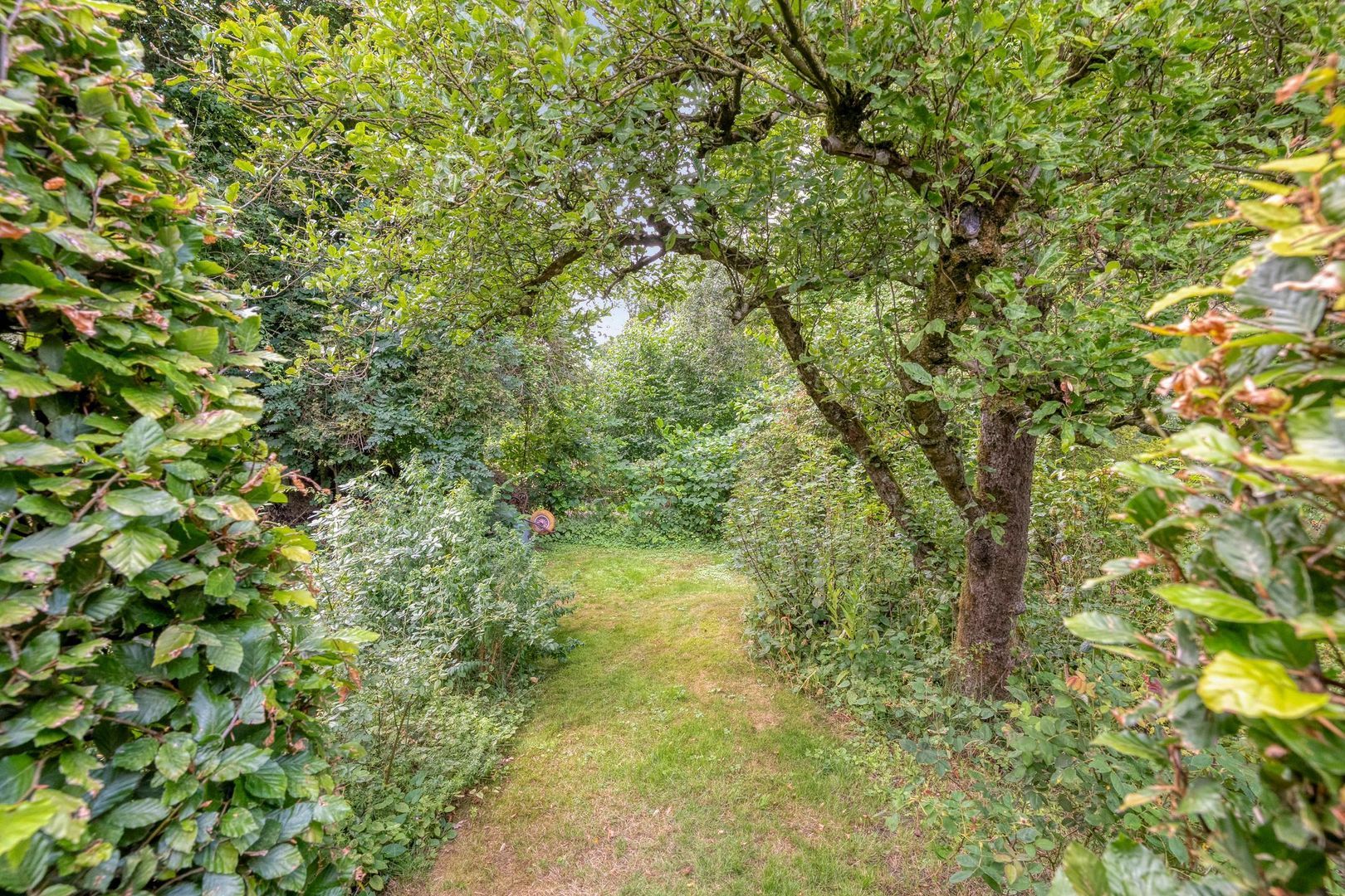 De Weijert 8, Dwingeloo foto-63