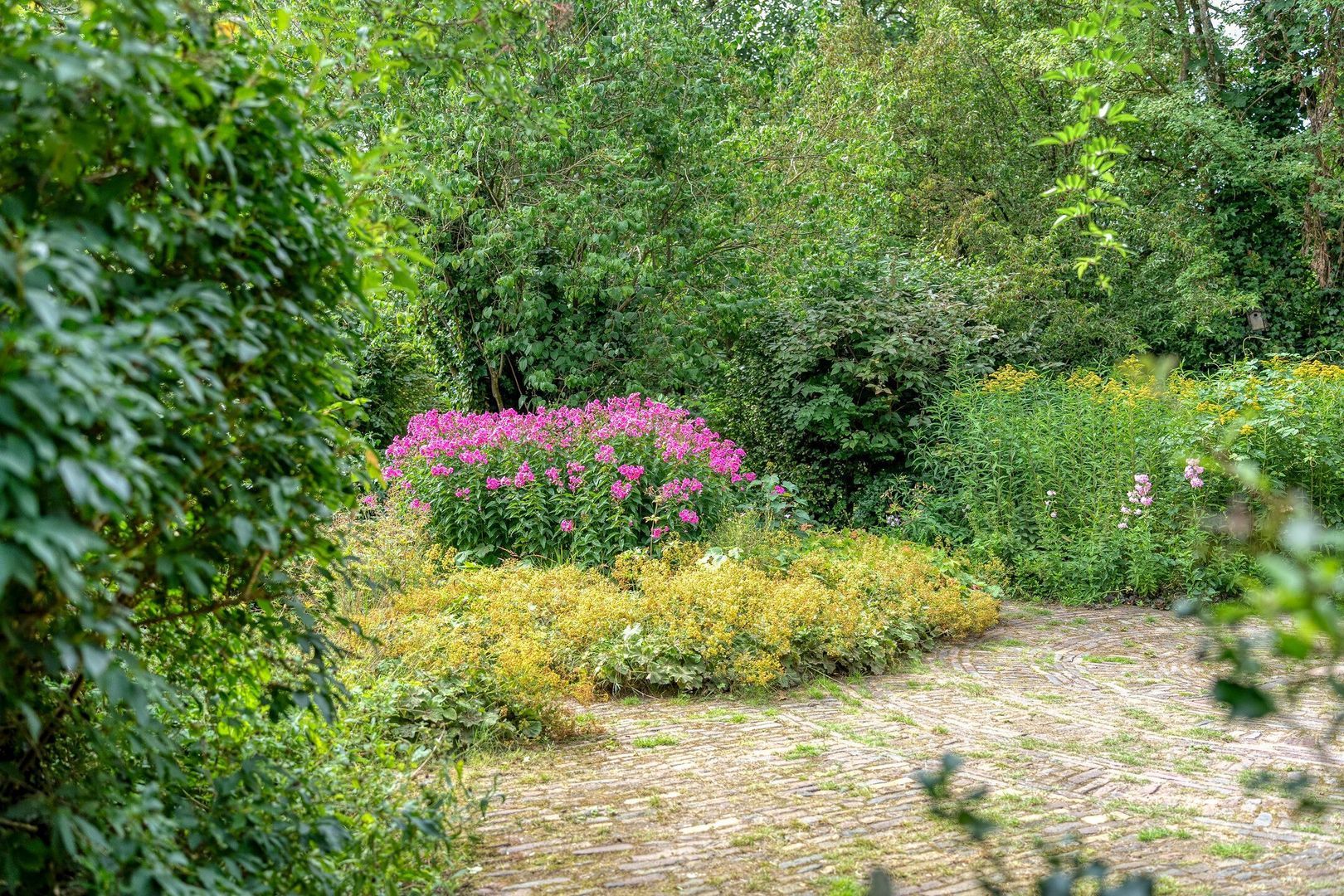 De Weijert 8, Dwingeloo foto-57