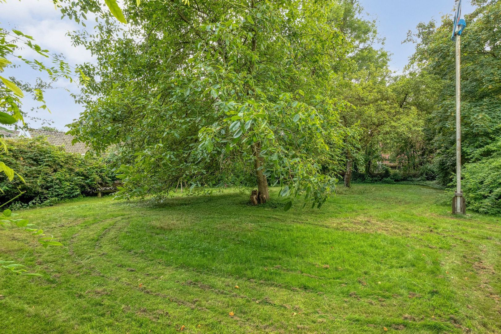 De Weijert 8, Dwingeloo foto-65