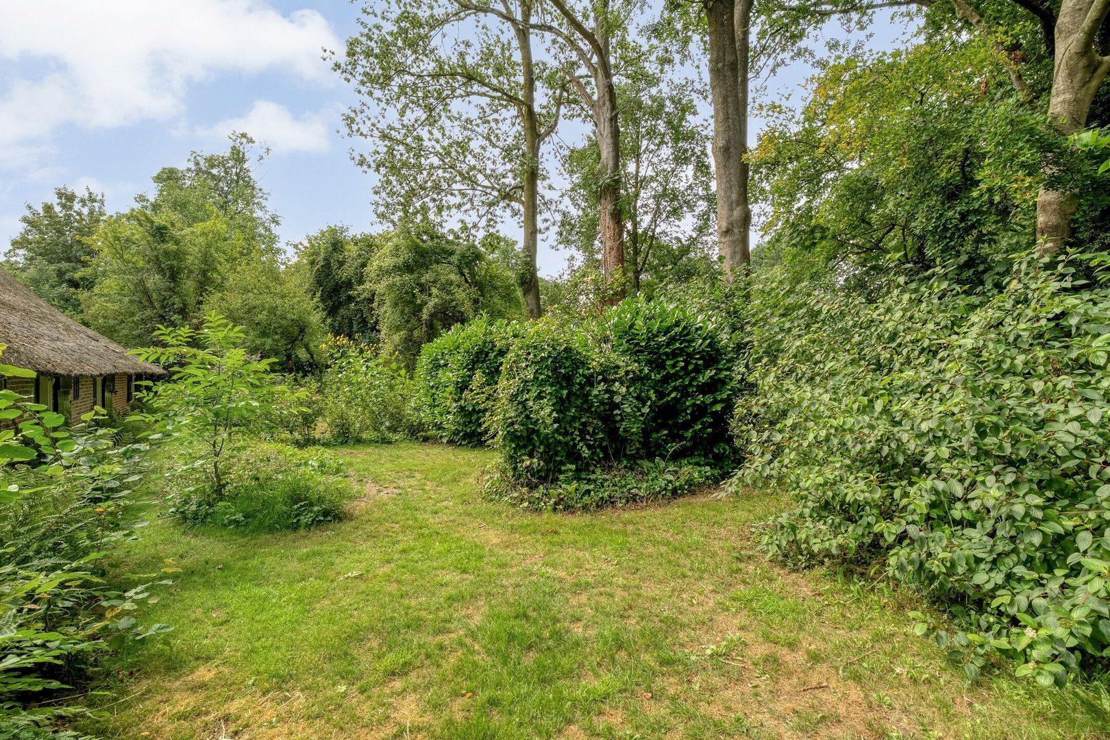 De Weijert 8, Dwingeloo foto-48