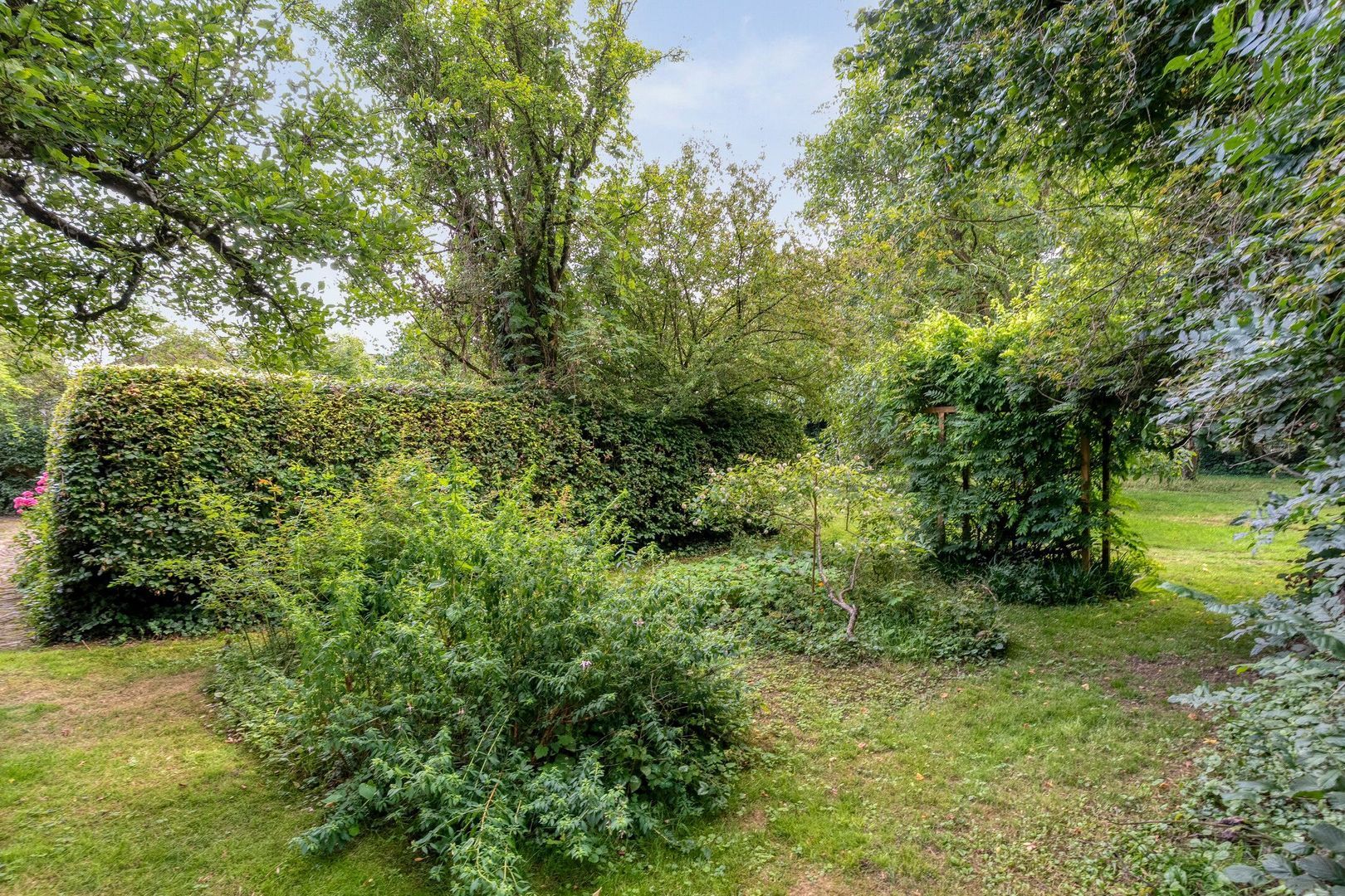 De Weijert 8, Dwingeloo foto-64